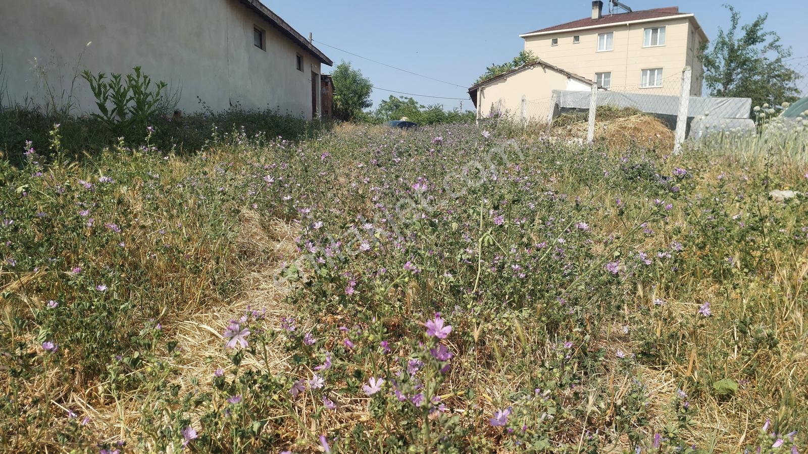 Tekirdağ Çorlu Şahpaz Mah. Satılık 1800 M2 Arsa - Görsel 6