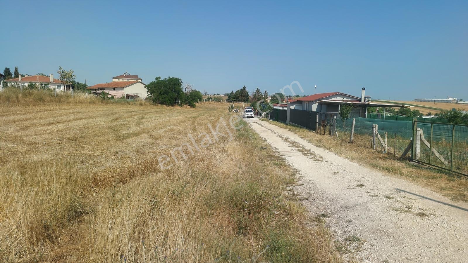 Tekirdağ Çorlu Şahpaz Mah. Satılık 1800 M2 Arsa - Görsel 5