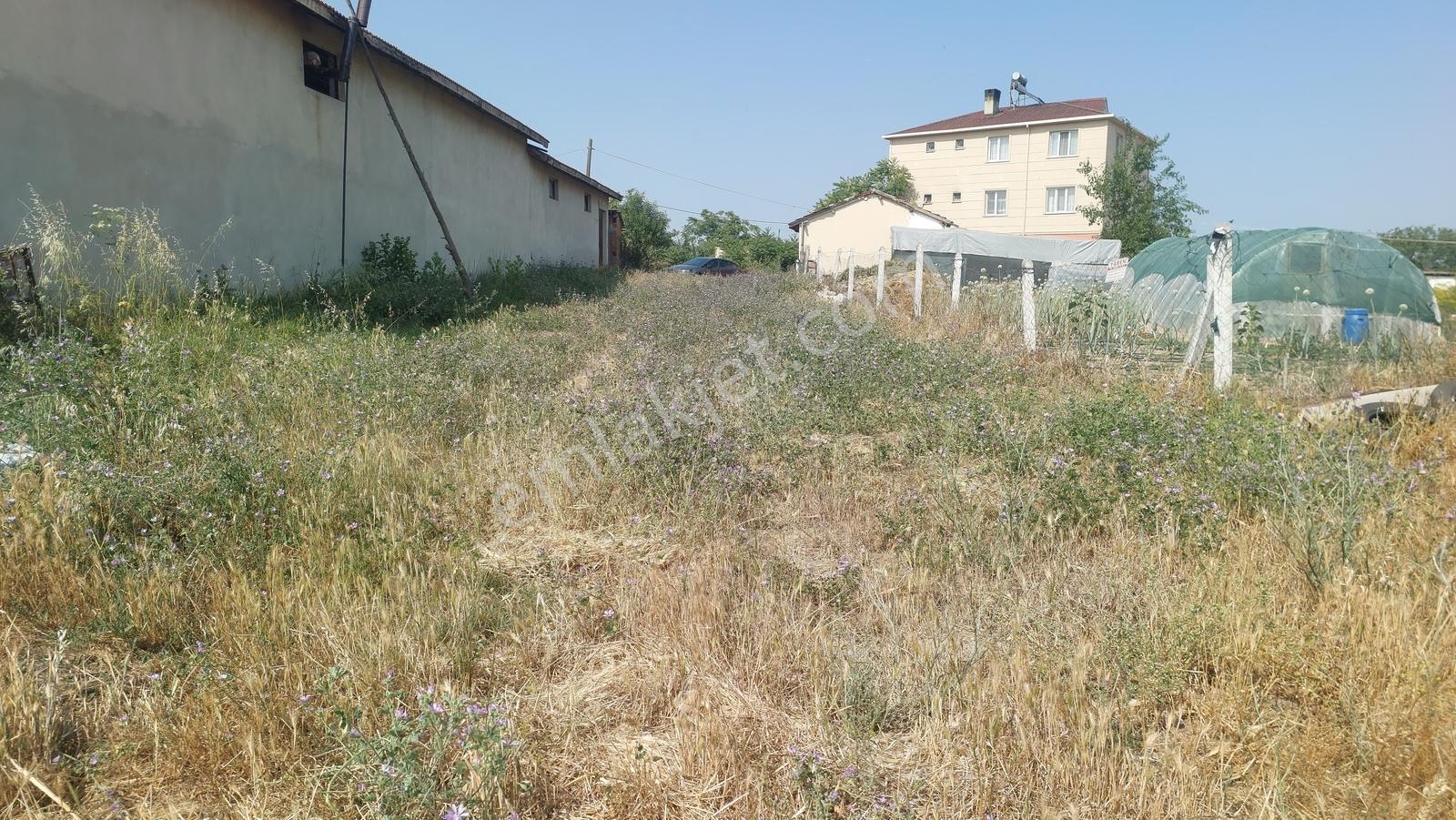Tekirdağ Çorlu Şahpaz Mah. Satılık 1800 M2 Arsa - Görsel 9