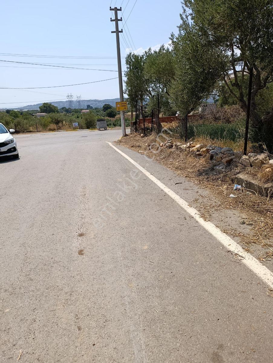Karakuyu'da Satılık 333 M2 Bahçeli Kerpiç Ev Ve Müştemilatı - Görsel 10