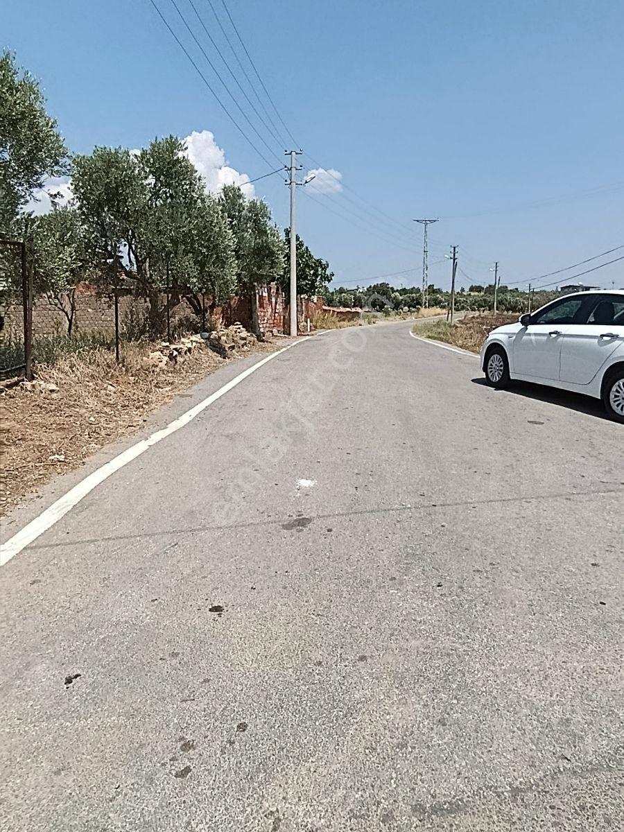 Karakuyu'da Satılık 333 M2 Bahçeli Kerpiç Ev Ve Müştemilatı - Görsel 20