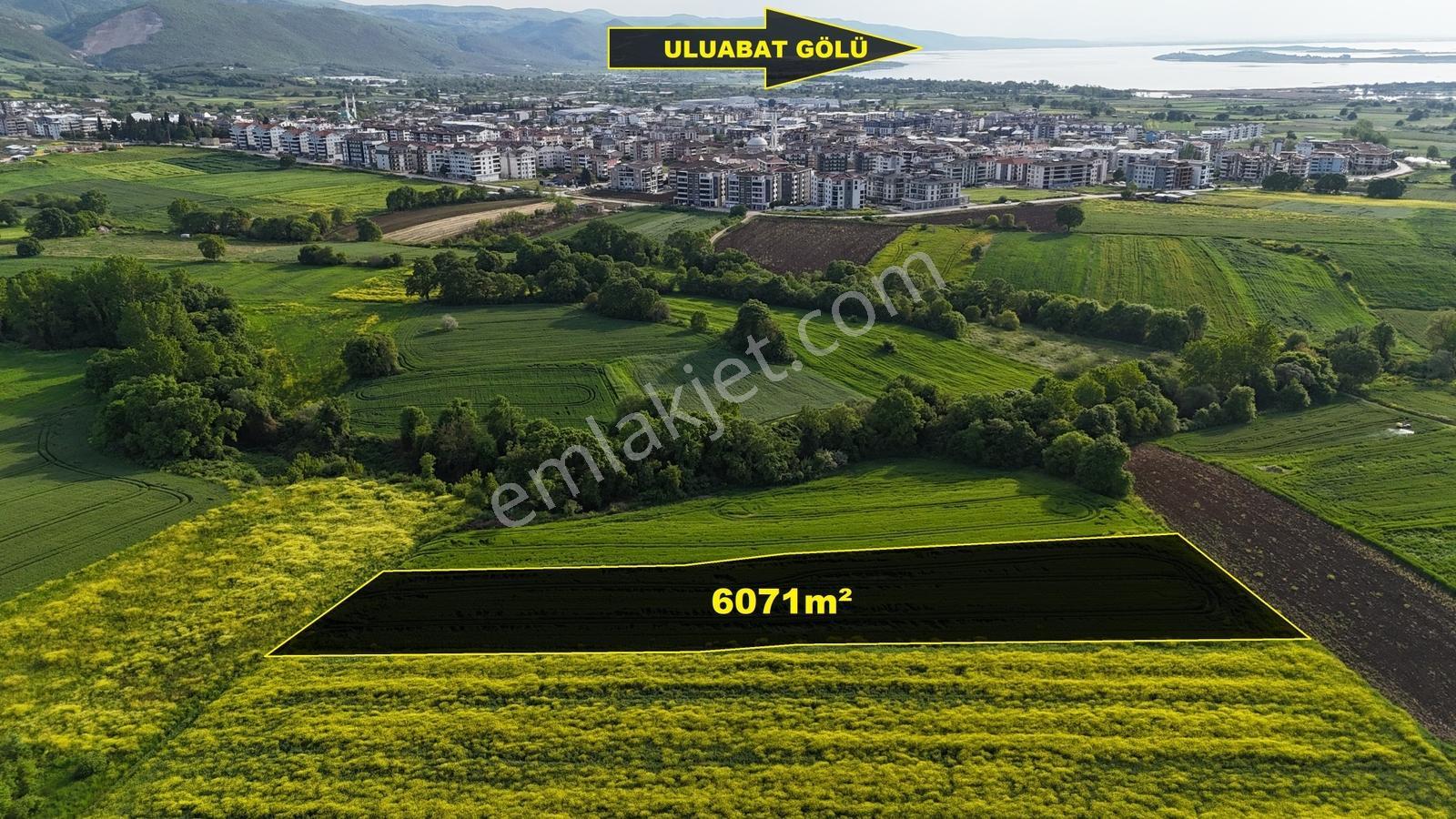 Civanoğlu Gayrimenkul Bursa Nilüfer Akçalar Fırsat Arazi - Görsel 7