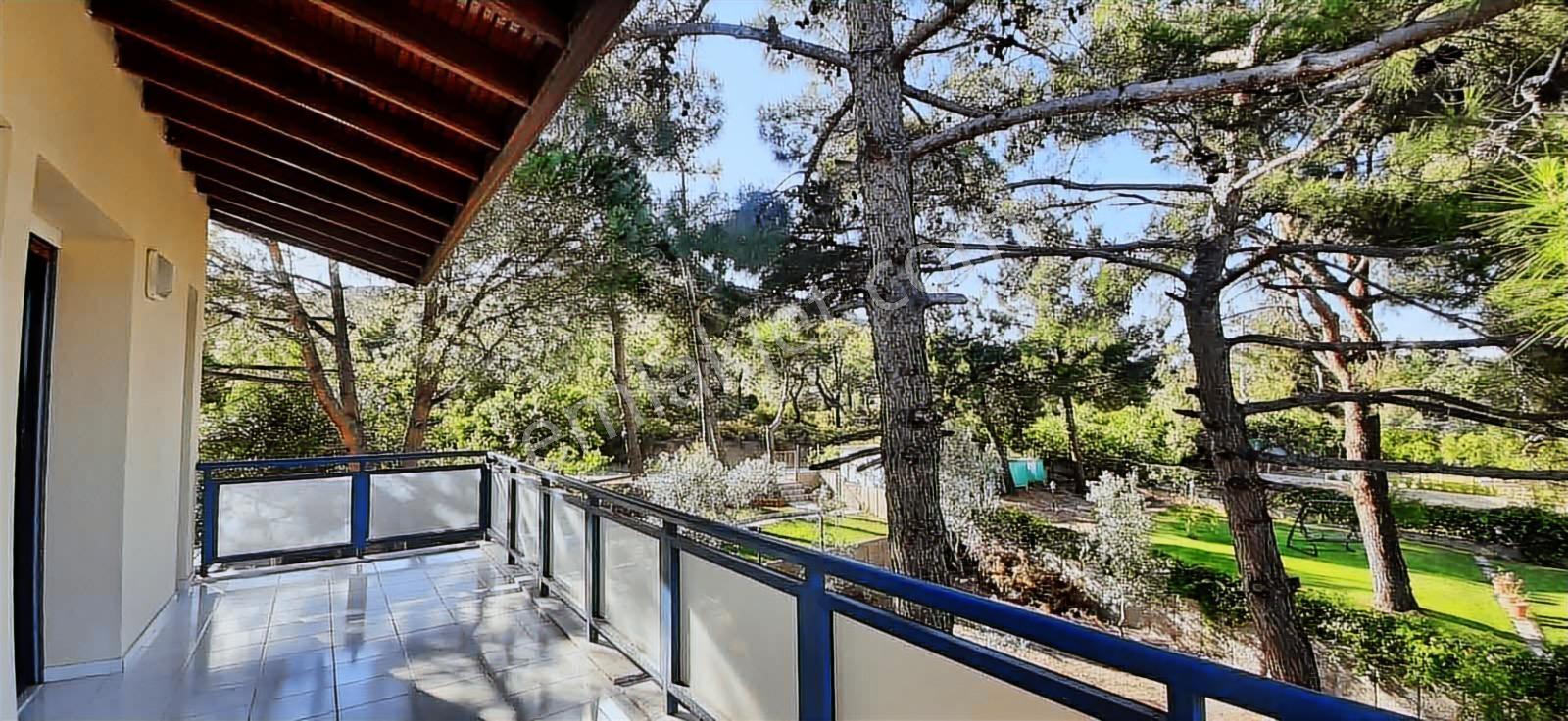 Ayvalık Şeytan Sofrası Mevkiinde 3+1 Kiralık Müstakil Villa - Görsel 23