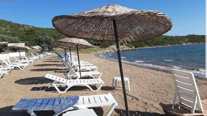 Ayvalık Şeytan Sofrası Mevkiinde 3+1 Kiralık Müstakil Villa - Görsel 17