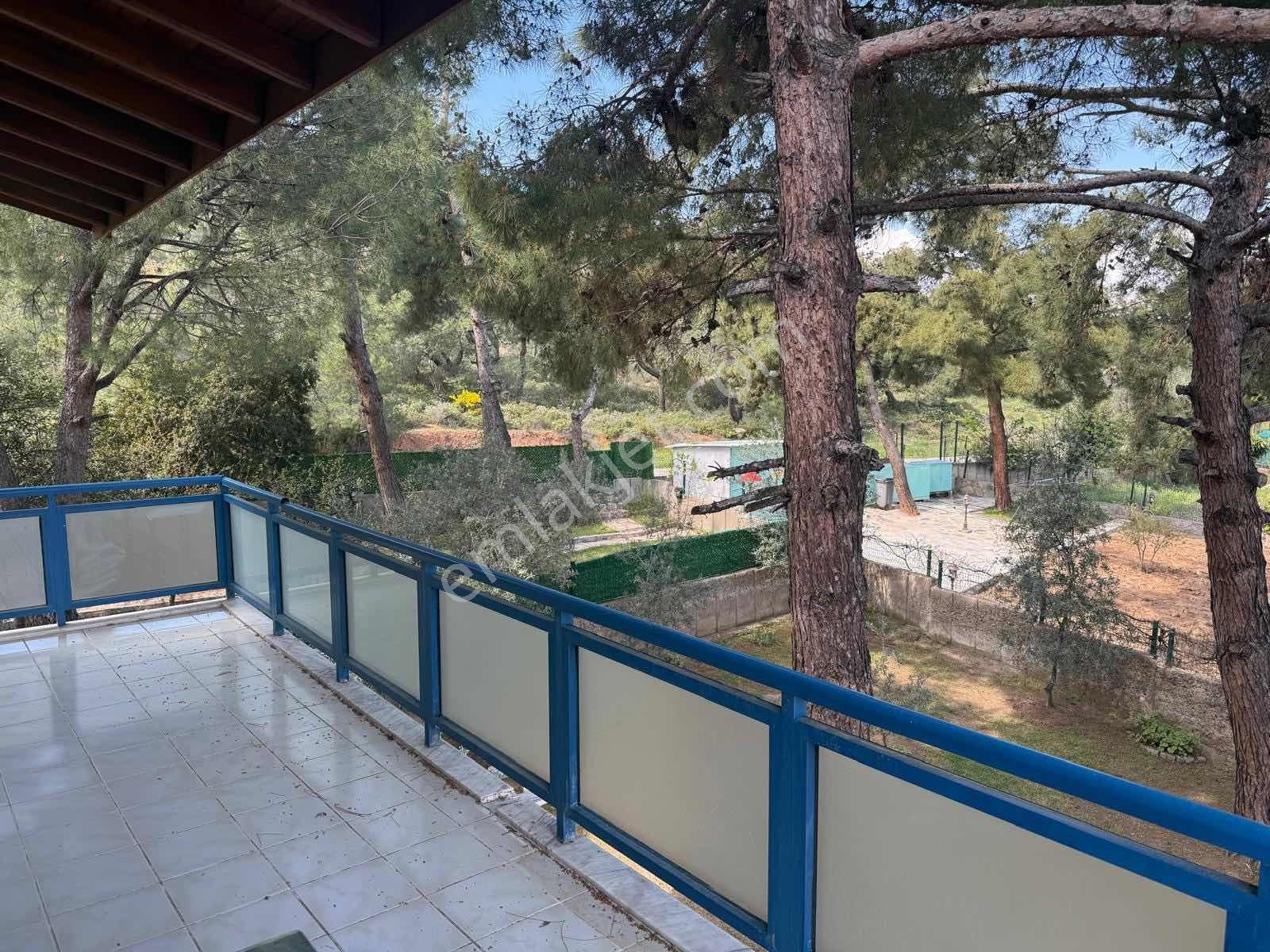 Ayvalık Şeytan Sofrası Mevkiinde 3+1 Kiralık Müstakil Villa - Görsel 19