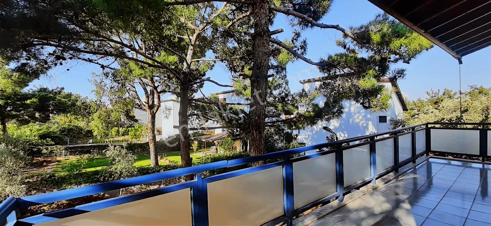 Ayvalık Şeytan Sofrası Mevkiinde 3+1 Kiralık Müstakil Villa - Görsel 24