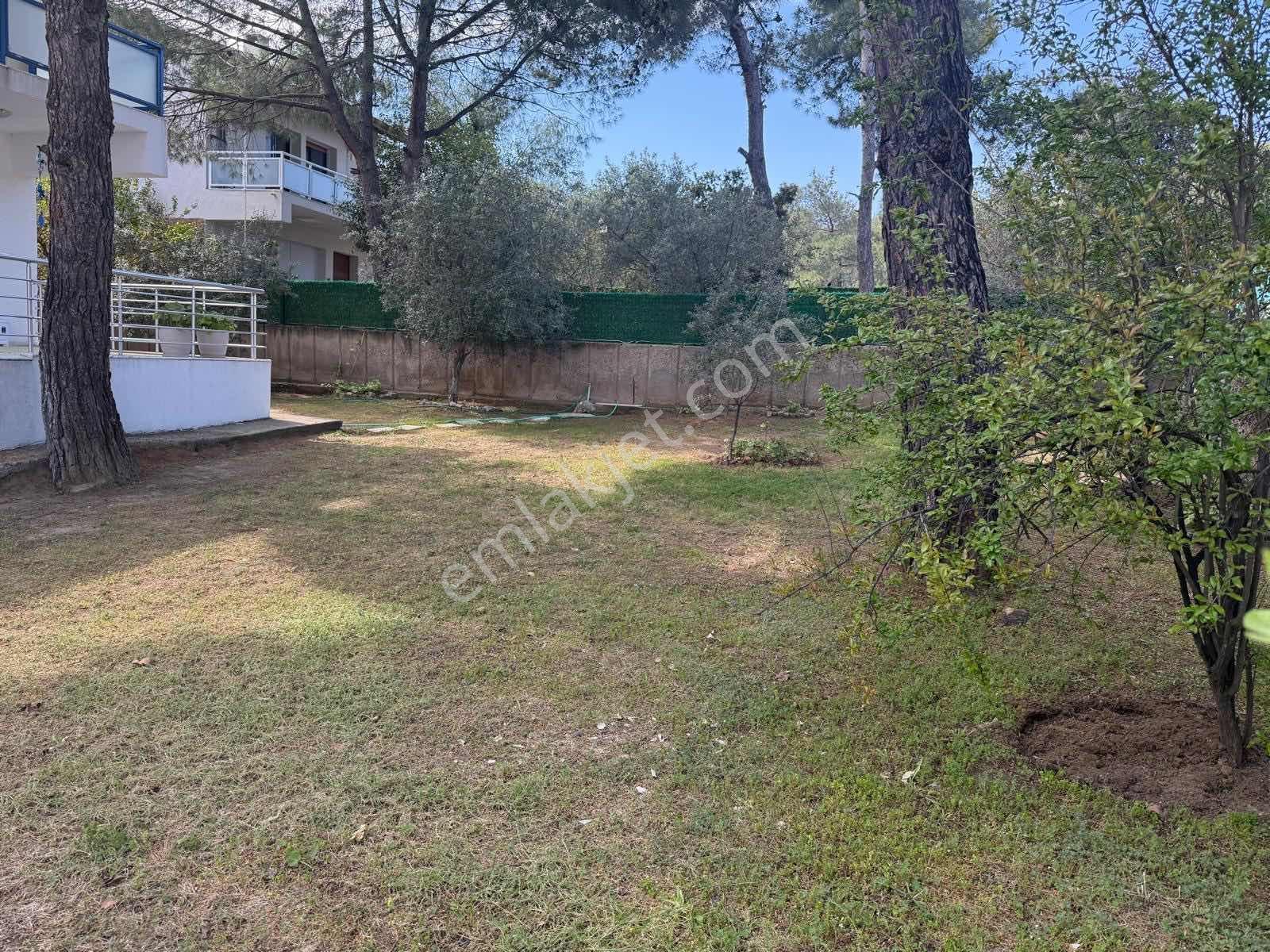Ayvalık Şeytan Sofrası Mevkiinde 3+1 Kiralık Müstakil Villa - Görsel 25