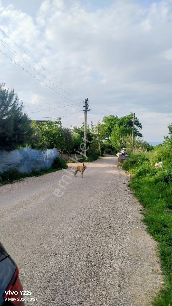 Gençalı Yerleşkede Resmi Ev Ve Bahçesi - Görsel 21