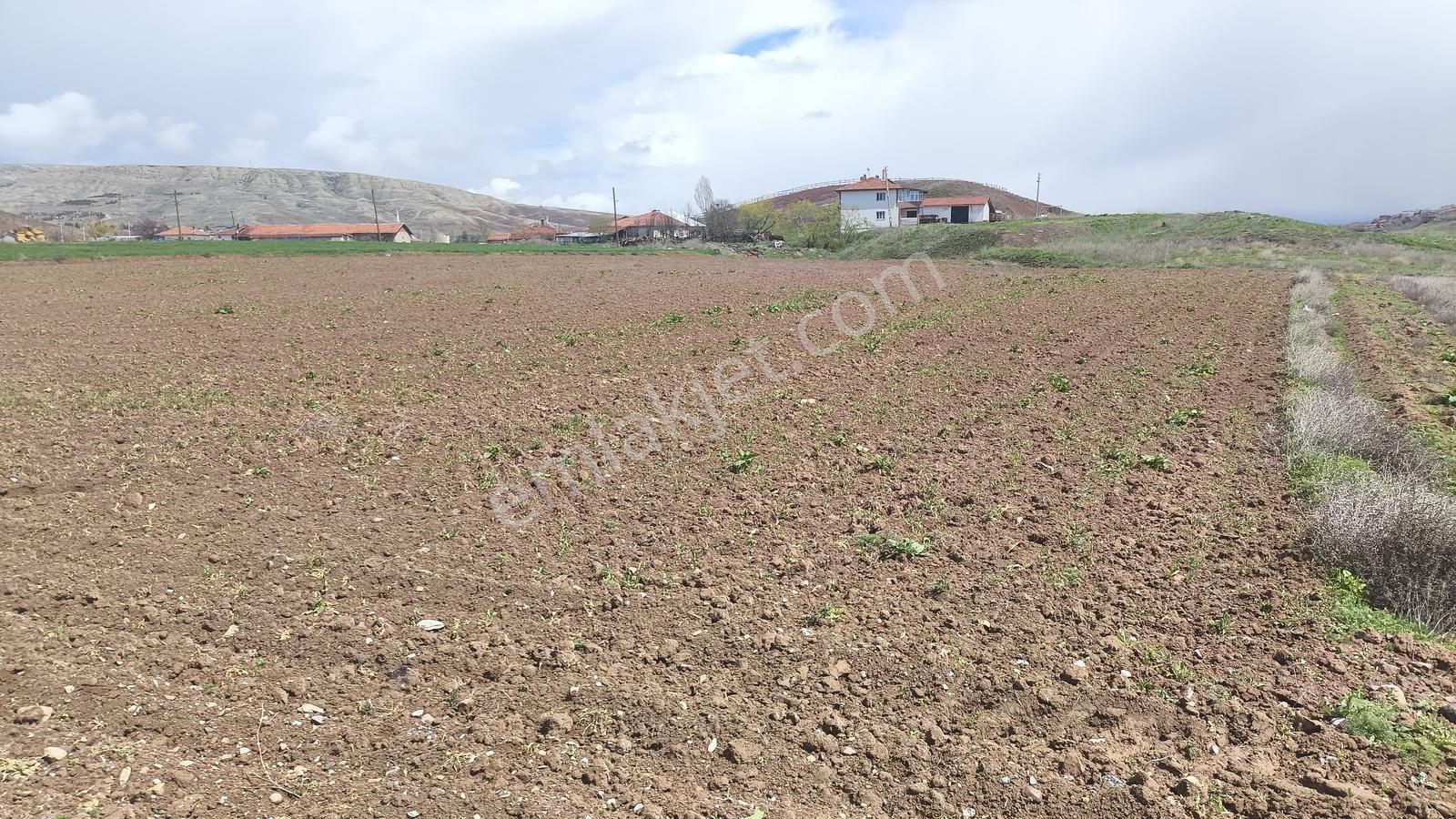 Ekin Group'tan Merkez Tuzluda 660 M2 Satılık Arsa - Görsel 6