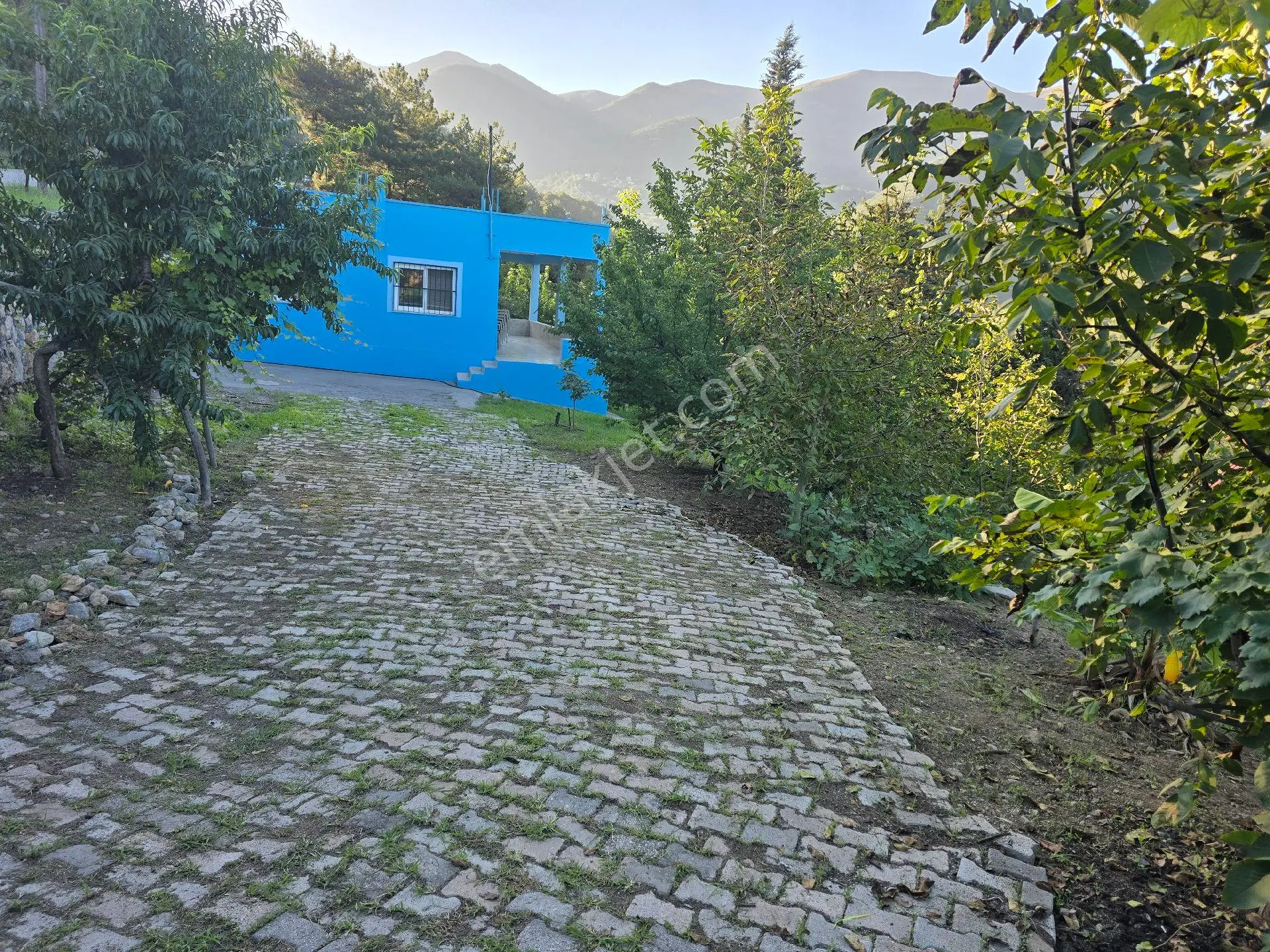 Acil Satılık Yayla Evi - Görsel 2