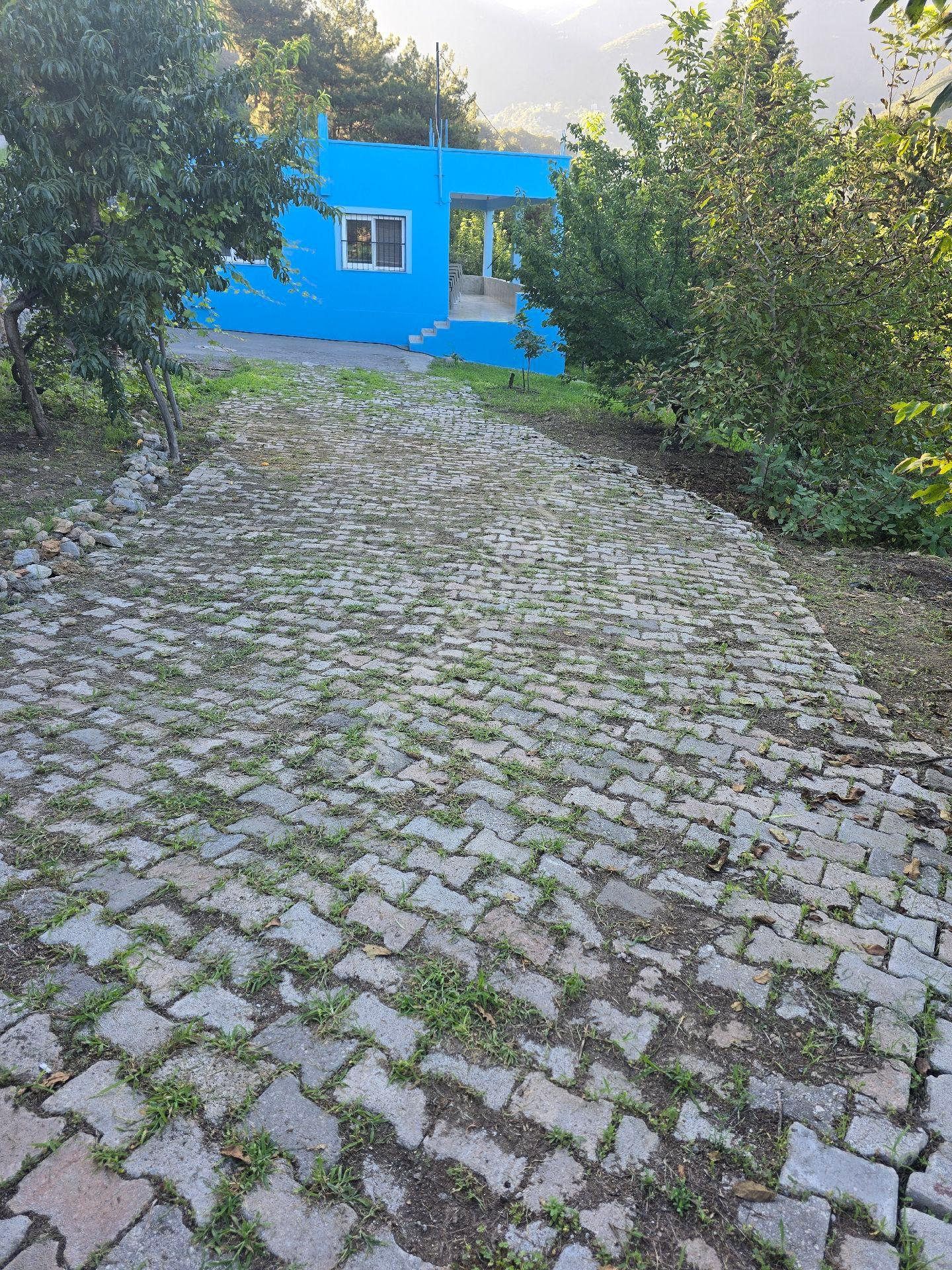 Acil Satılık Yayla Evi - Görsel 3