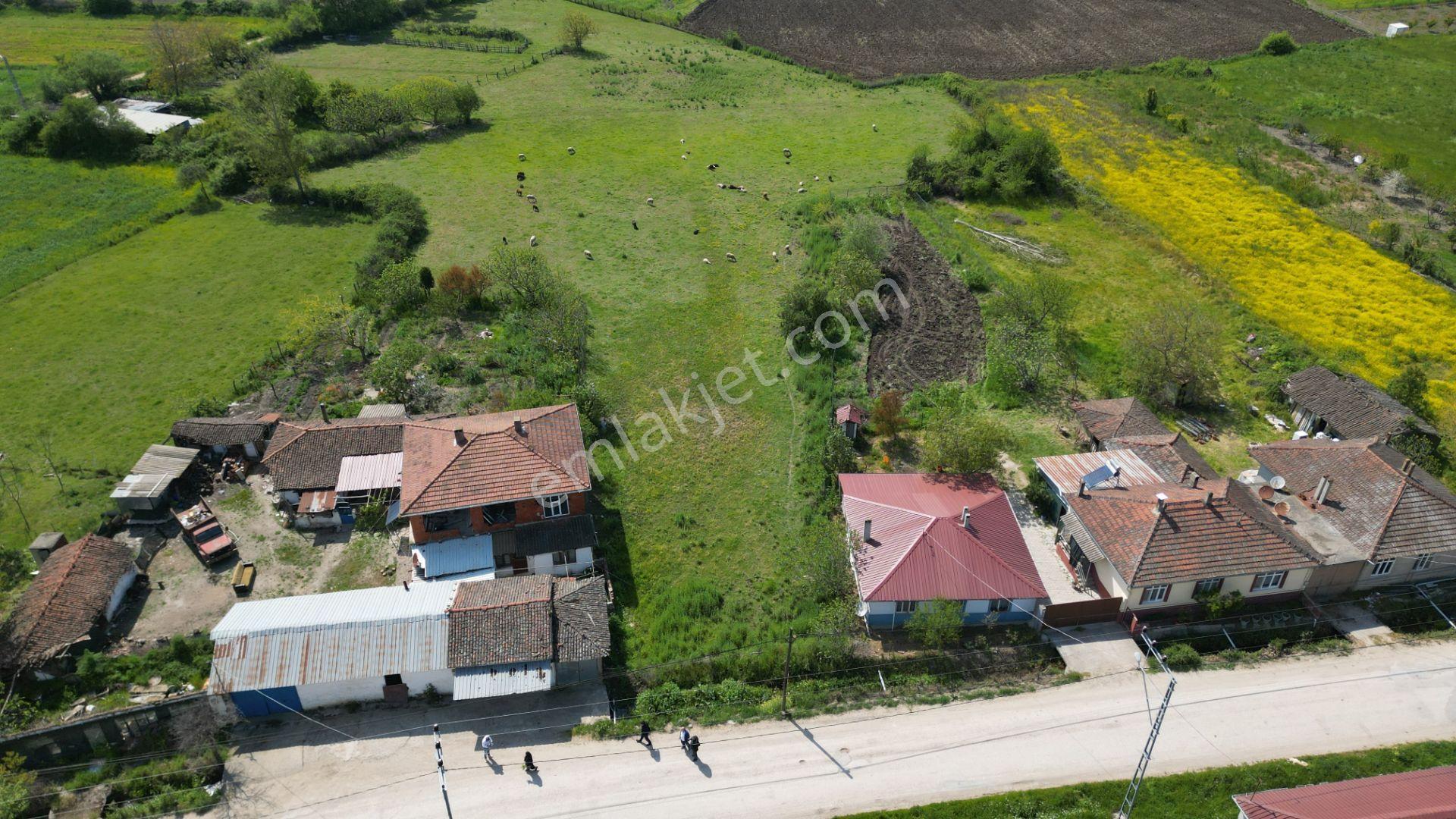 Biga Hacıköy’de 3’e Bölünebilir 1.998 M² Arsa
