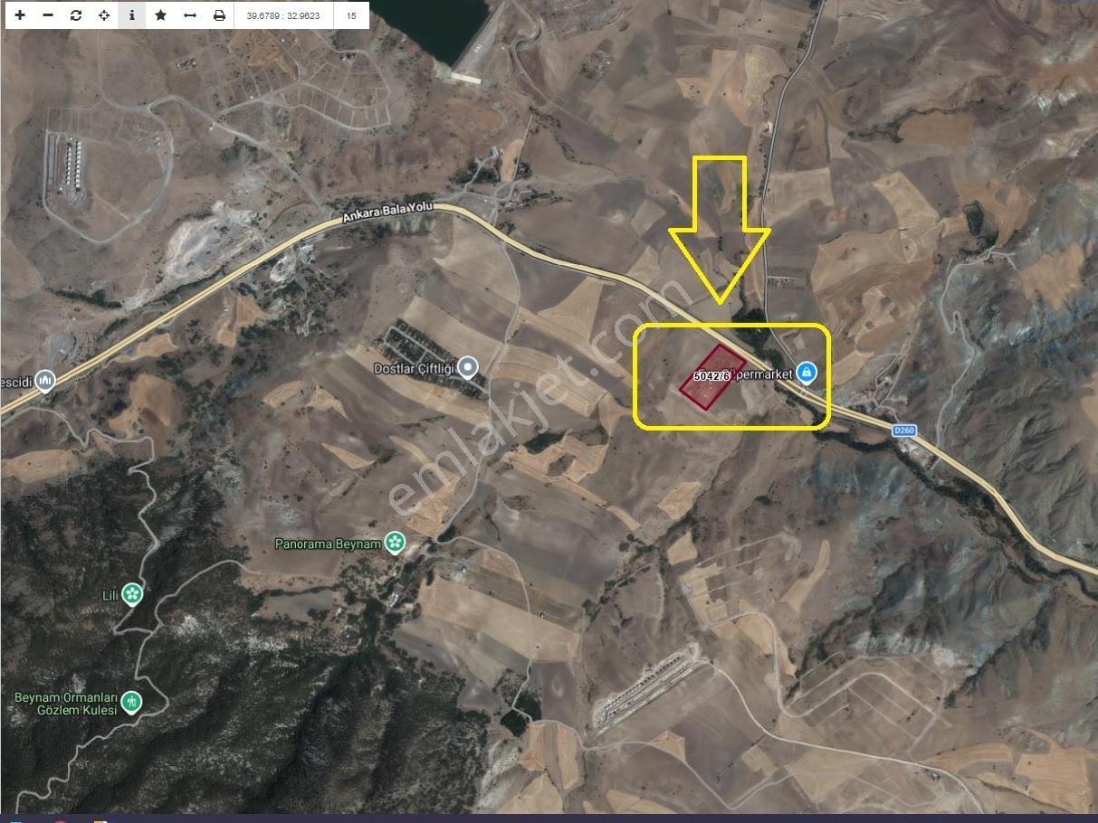 Beynamda 1000m2 Bala Asfaltına Cephe Etrafı Çevrili Kiralık Arsa - Görsel 10