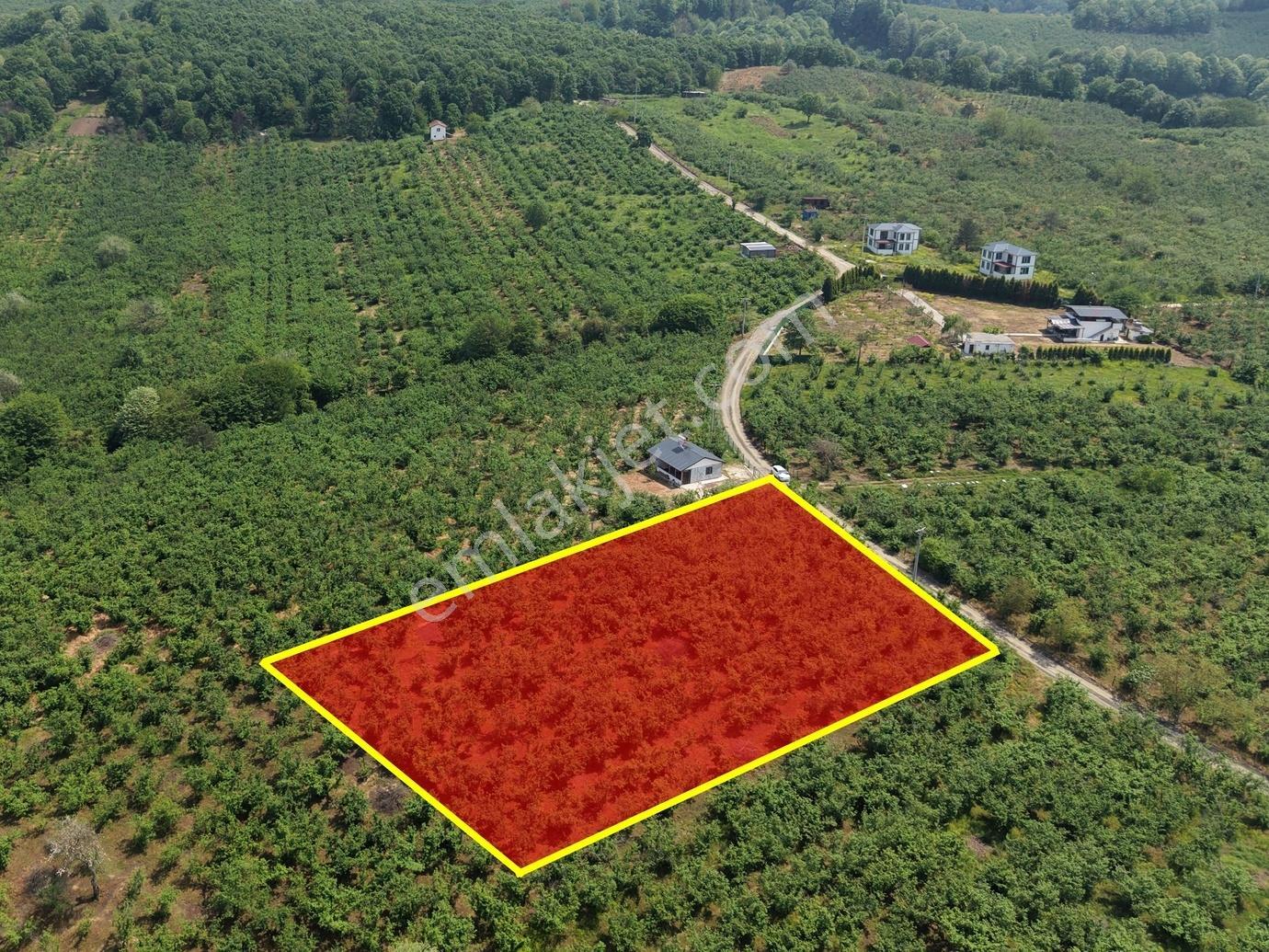 Emlakevim - Hendek Gündoğan Köyünde Satılık Doğa İçinde Arsa