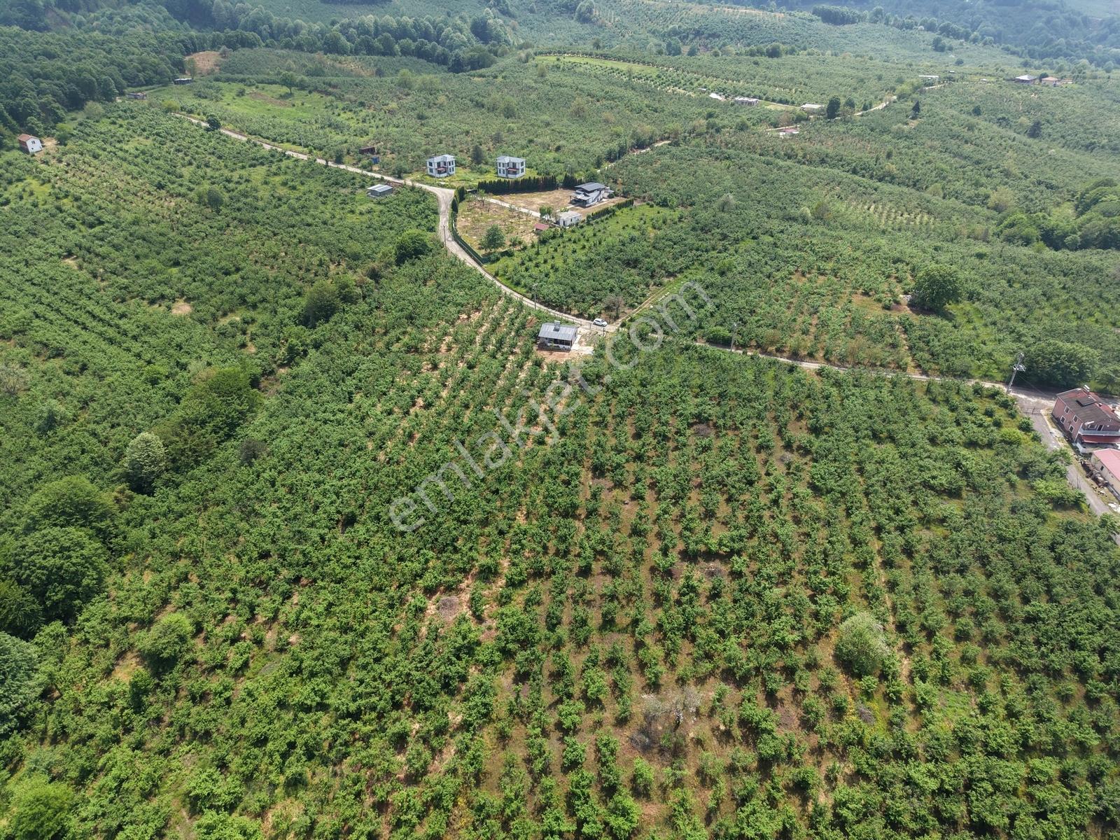 Emlakevim - Hendek Gündoğan Köyünde Satılık Doğa İçinde Arsa - Görsel 14
