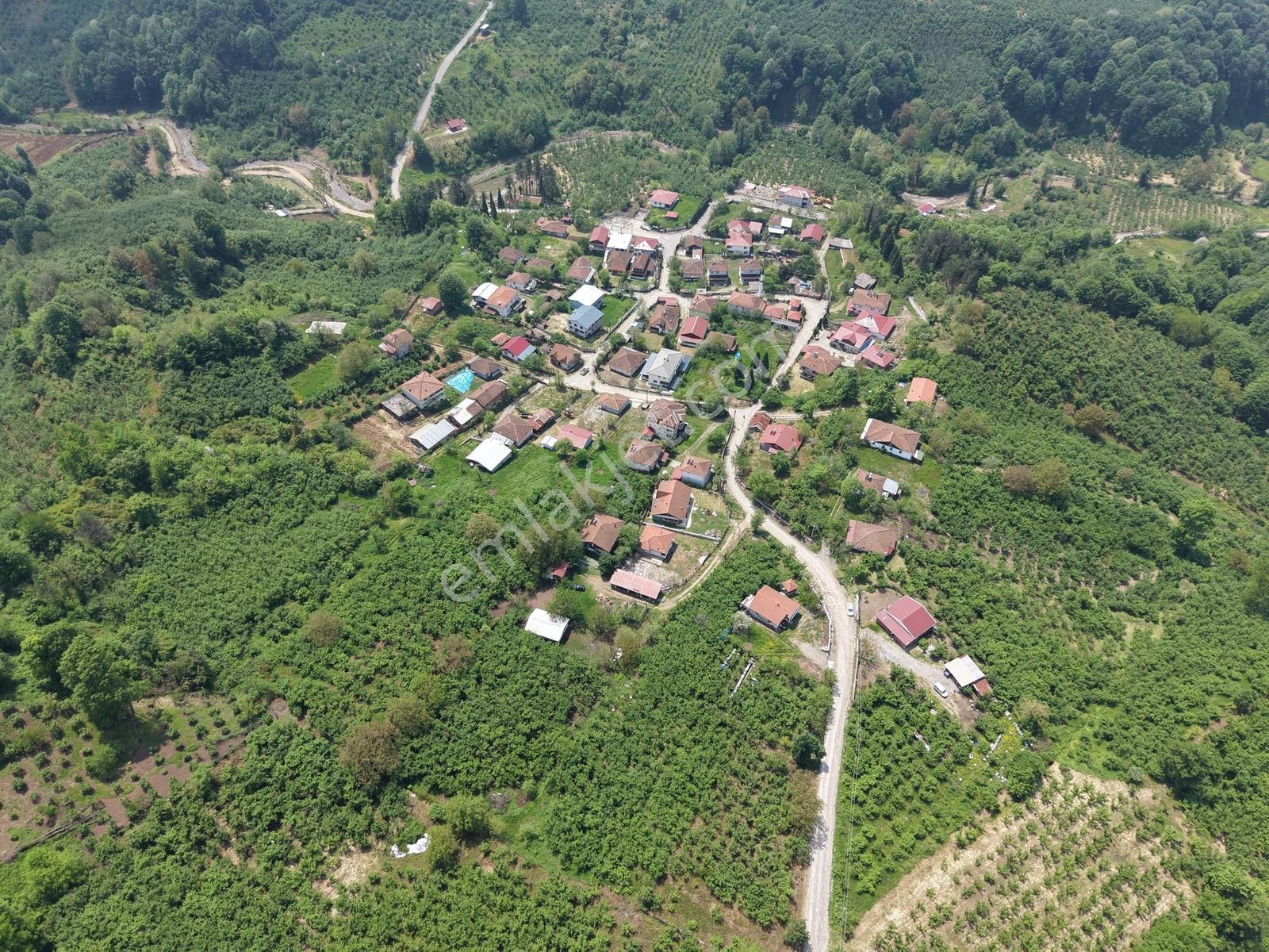 Emlakevim - Hendek Gündoğan Köyünde Satılık Doğa İçinde Arsa - Görsel 16