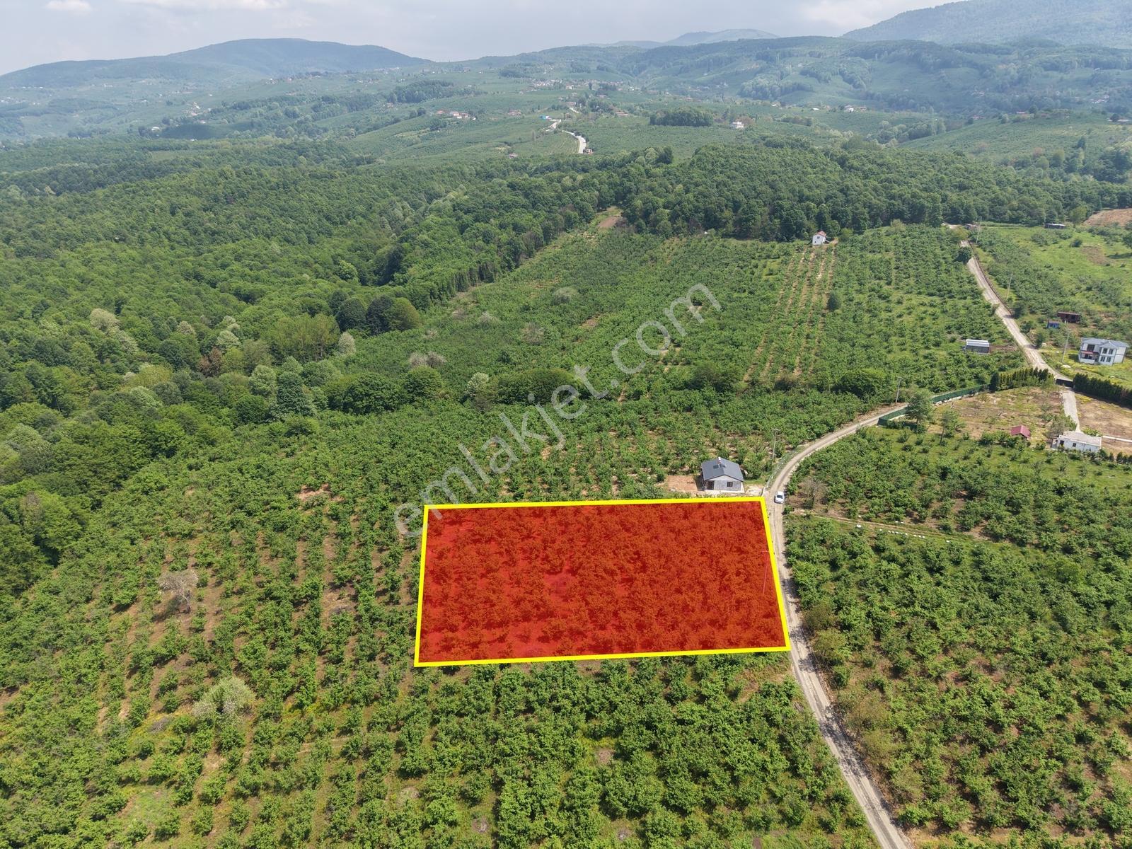 Emlakevim - Hendek Gündoğan Köyünde Satılık Doğa İçinde Arsa - Görsel 5