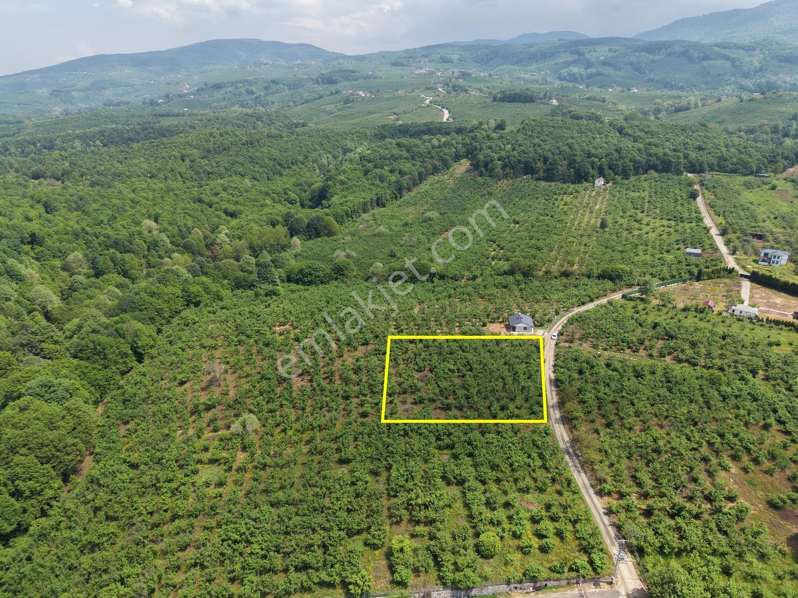Emlakevim - Hendek Gündoğan Köyünde Satılık Doğa İçinde Arsa - Görsel 12