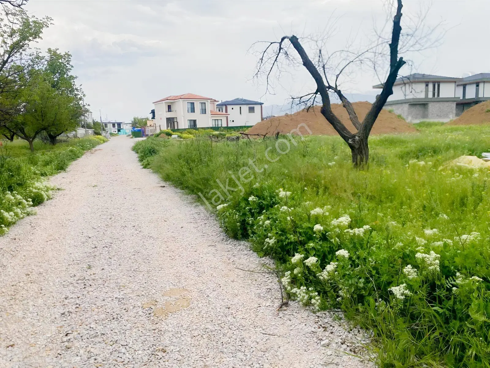 Turanlardan Cevatpaşada Yatırımlık Villa İmarlı Arsa!!!!! - Görsel 2