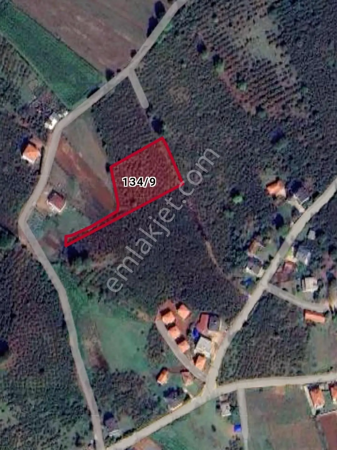 Kocaeli / Kandıra'da Satılık Tek Tapulu Fındıklık - Görsel 4