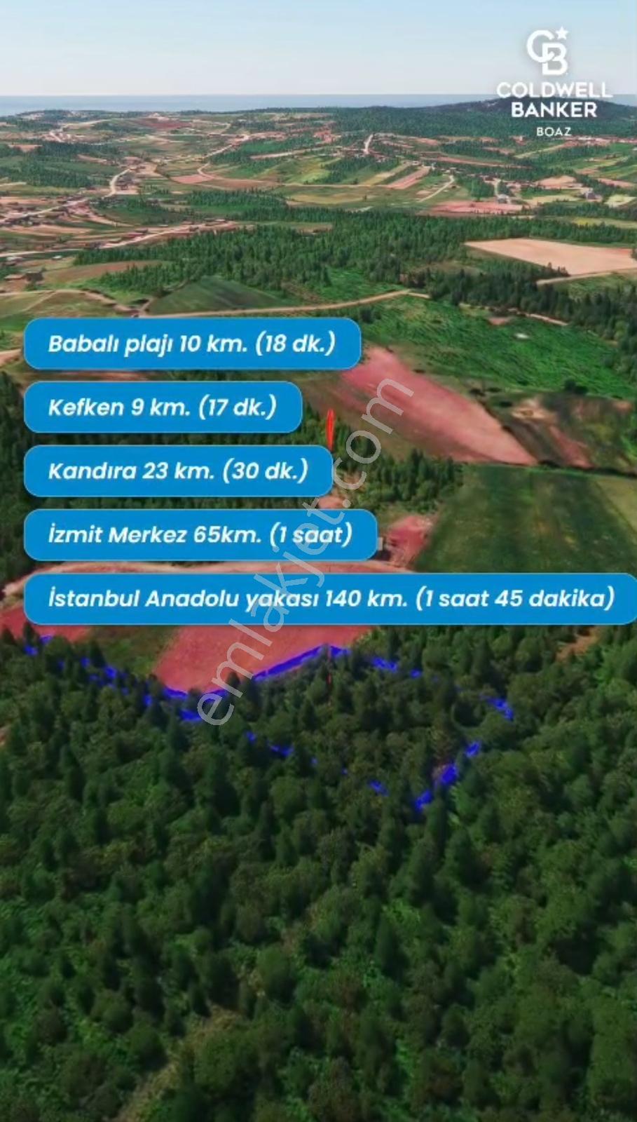 Kocaeli / Kandıra'da Satılık Tek Tapulu Fındıklık