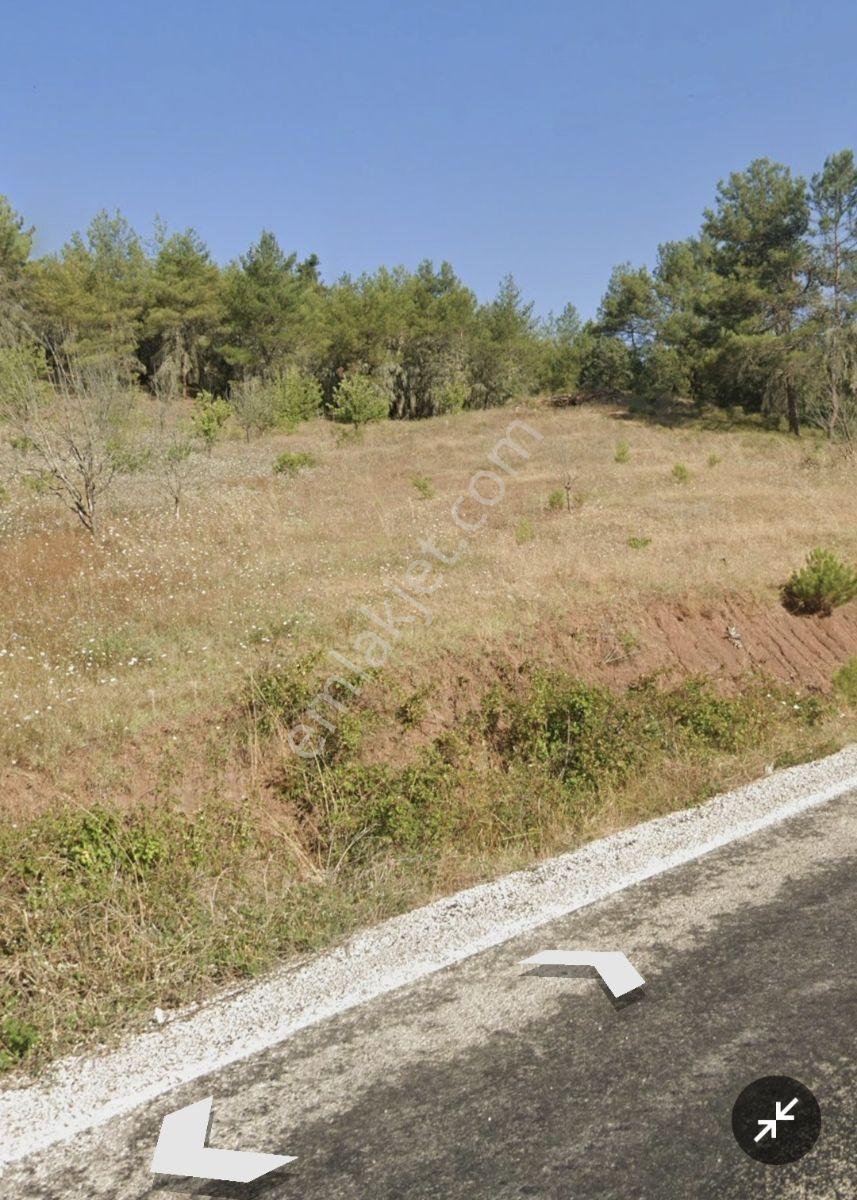 Adaplatin'den Taraklı Pirlerde 9443m2 Kiraz Ağaçlı Meyilli Tarla - Görsel 10