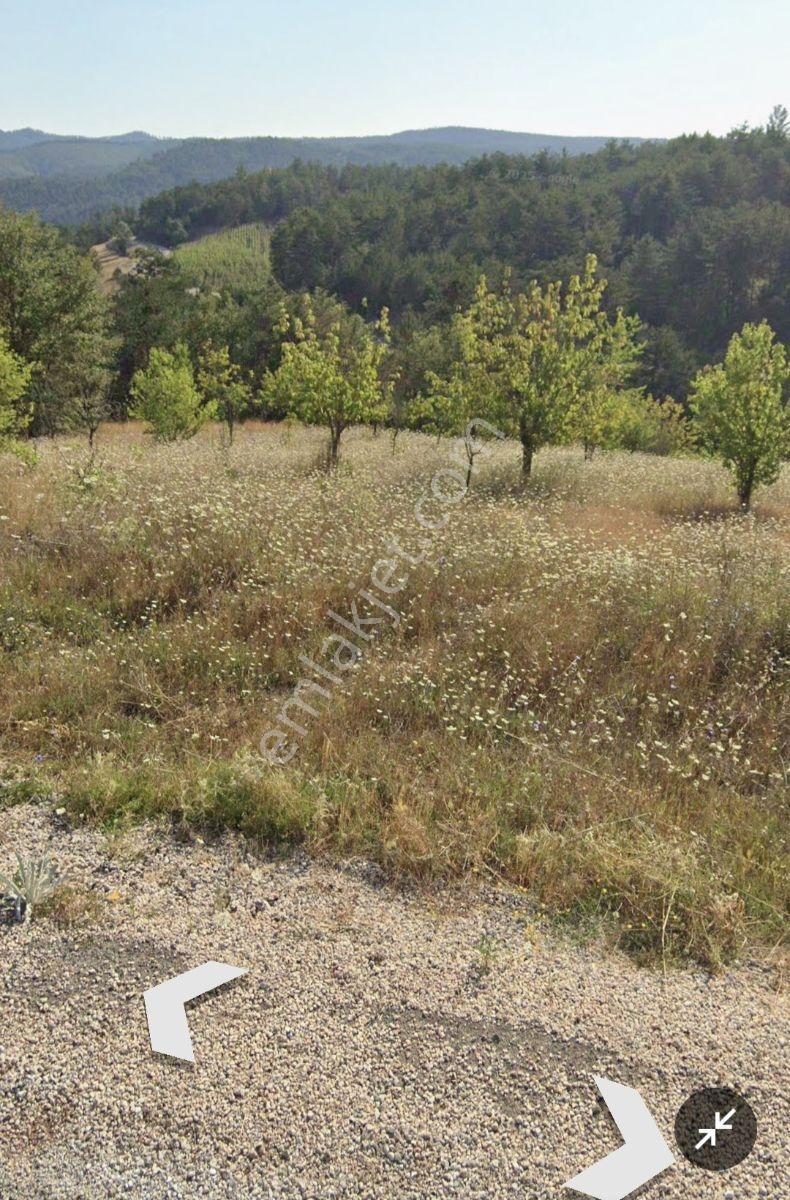 Adaplatin'den Taraklı Pirlerde 9443m2 Kiraz Ağaçlı Meyilli Tarla - Görsel 11