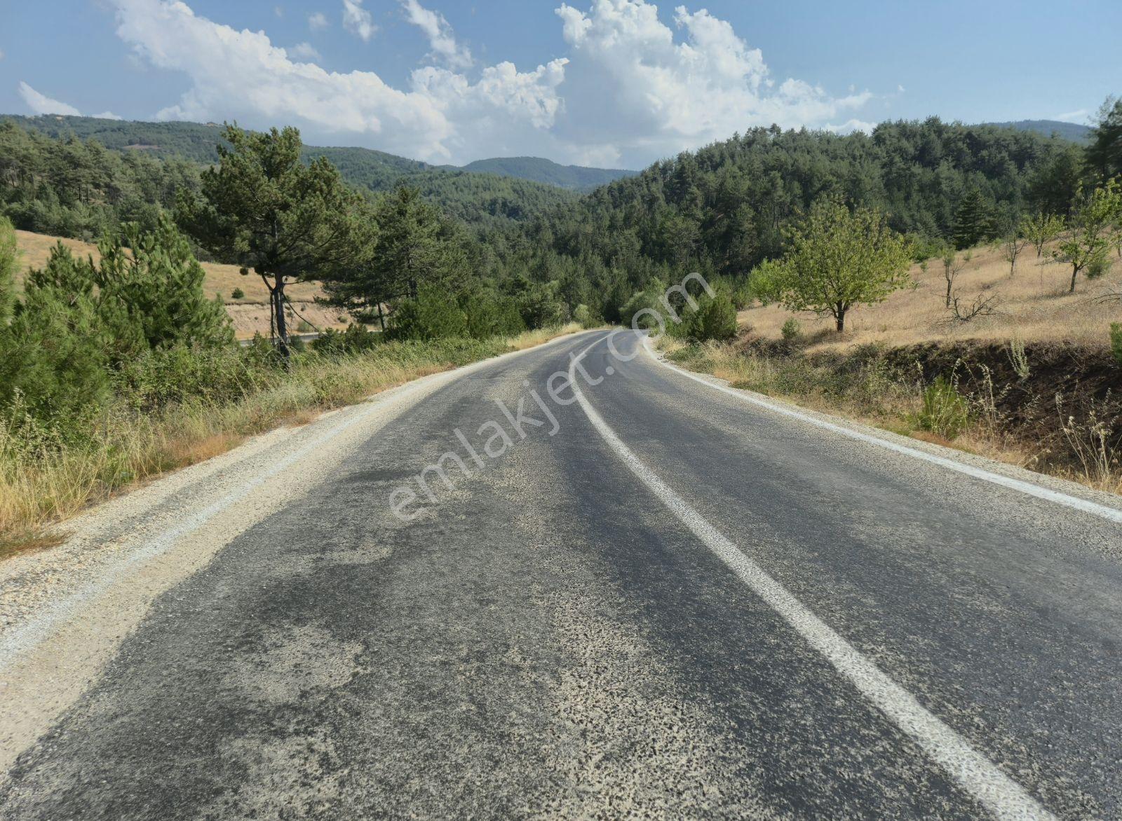 Adaplatin'den Taraklı Pirlerde 9443m2 Kiraz Ağaçlı Meyilli Tarla - Görsel 2