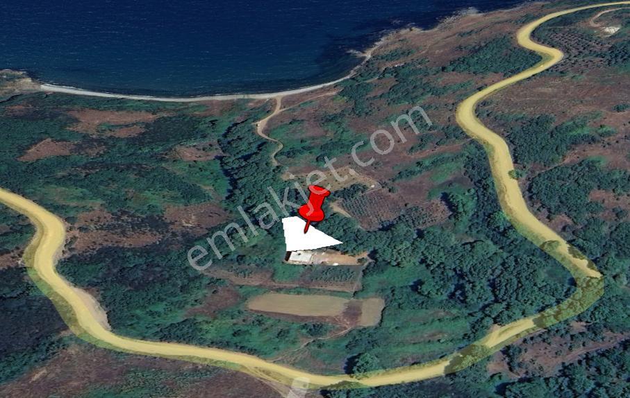 Balıkesir Bandırma Sahil Yenice Mah. 860 M2 Satılık Tarla Yatırımlık - Görsel 7