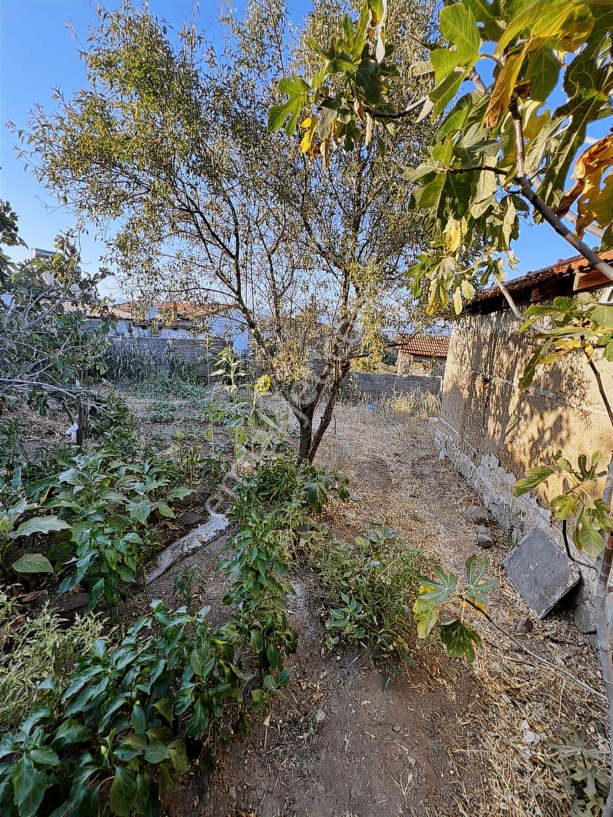 Satılık Geniş Bahçeli, Otantik Müstakil Köy Evi - Görsel 27