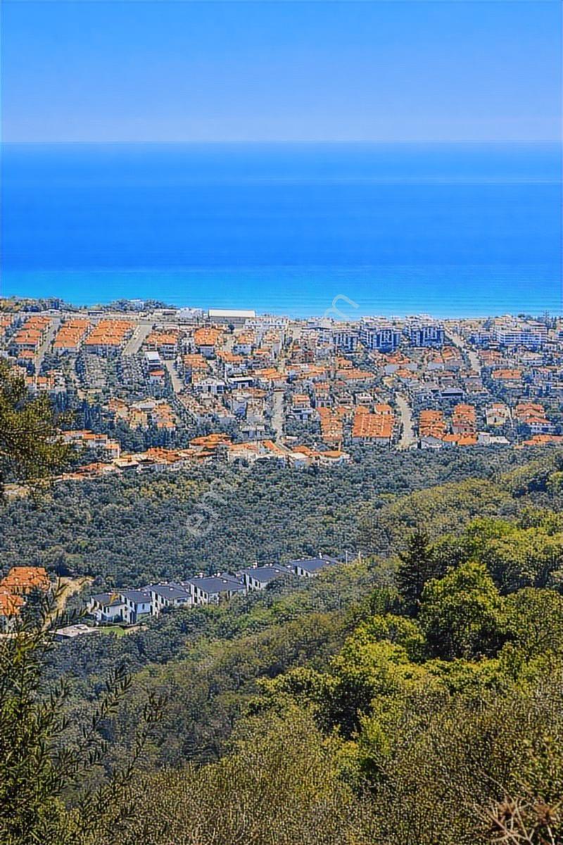 Yatırım Zeytinlik - Görsel 6