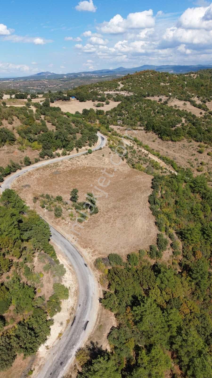 Ayvacık Süleymanköyde Asfalt Cepheli Projeye Uygun Arazi - Görsel 5