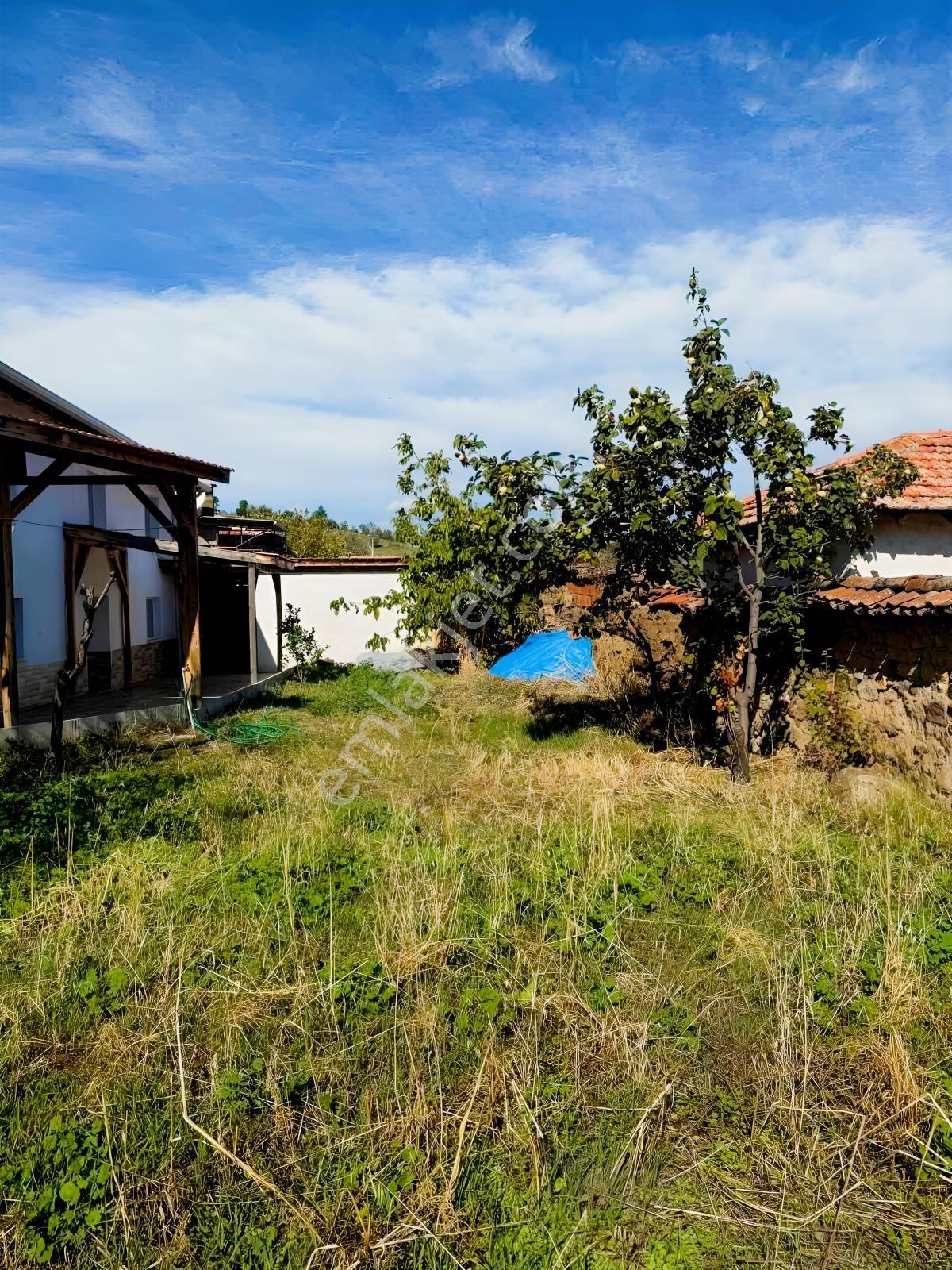 Fırsat! Havran Köylücede 434 M² Arsa İçinde 2+1 Köy Evi - Görsel 12
