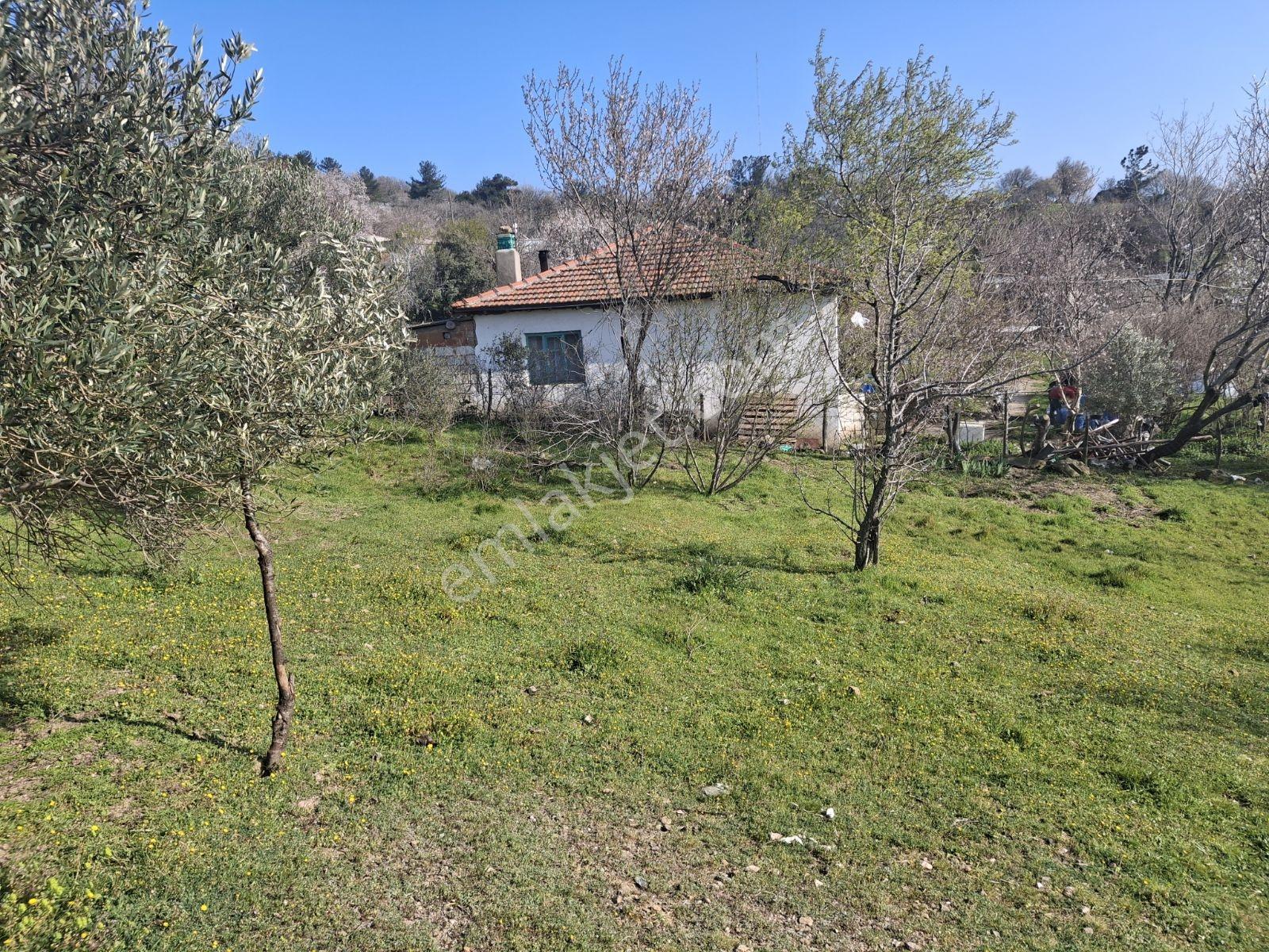 Çanakkale Kazdağları Akpınar Da Eşsiz 548 M2 Arsa - Görsel 2
