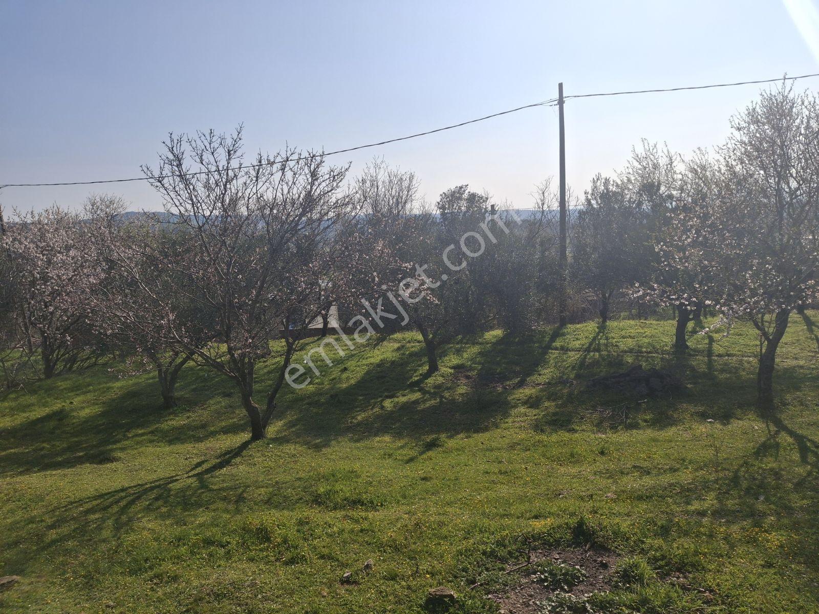 Çanakkale Kazdağları Akpınar Da Eşsiz 548 M2 Arsa - Görsel 10