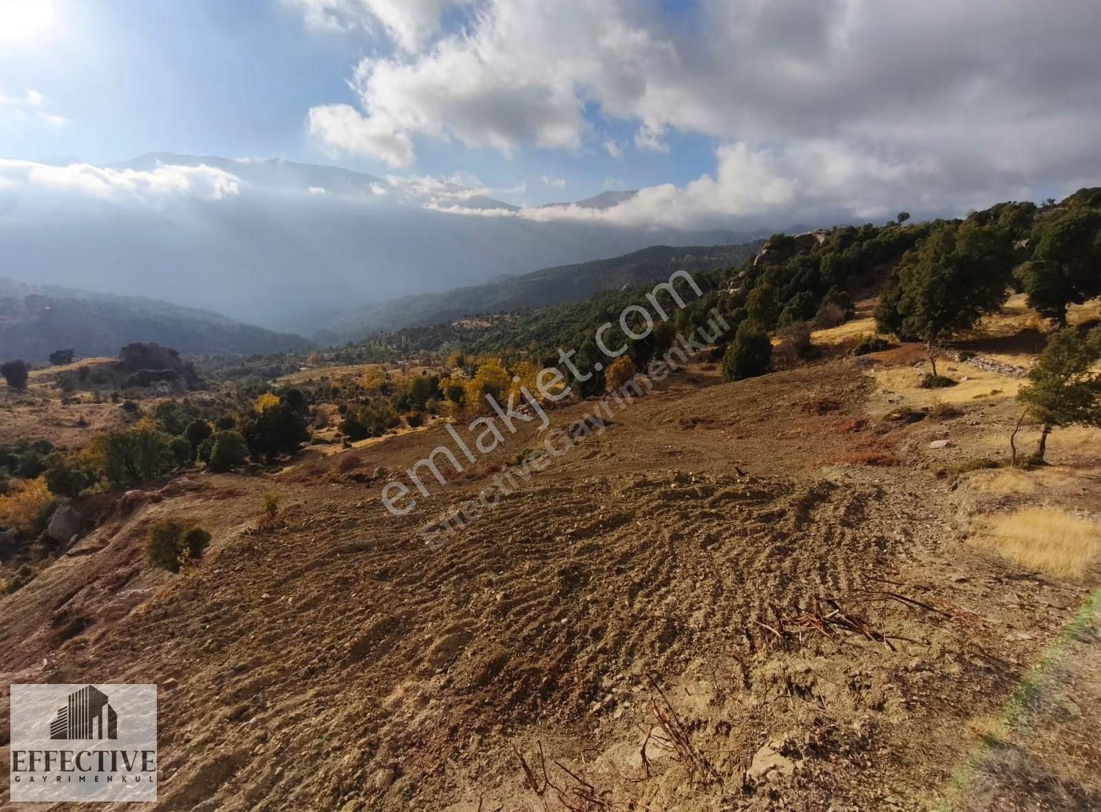 Antalya Kumluca Kuzca'da Satılık Müstakil Tapulu 9071 M² Tarla