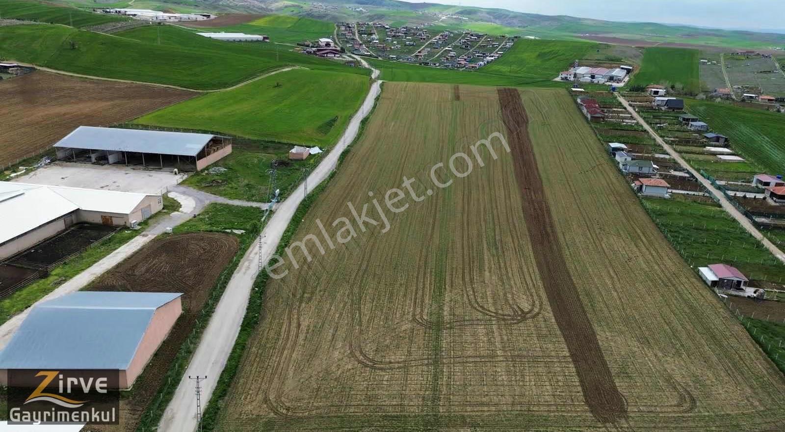 Zirve'den İmar Sınırı Tek Tapu 32dönüm Satılık Tarla! - Görsel 8