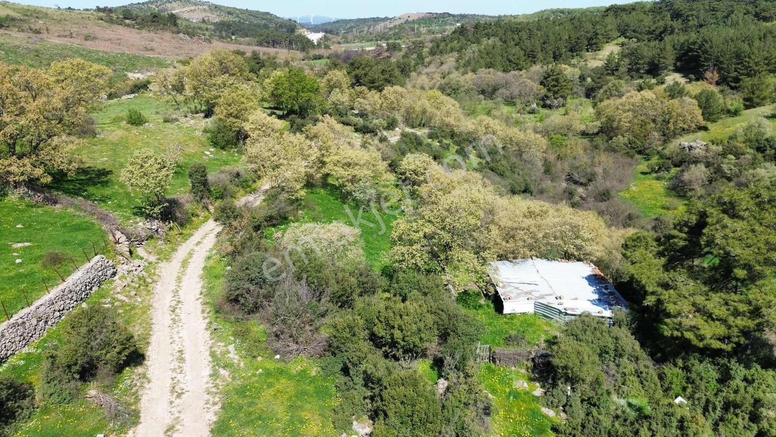 Assos Ahmetçe'de 5 Dönüm Üstü Yol Cepheli Arazi - Görsel 17