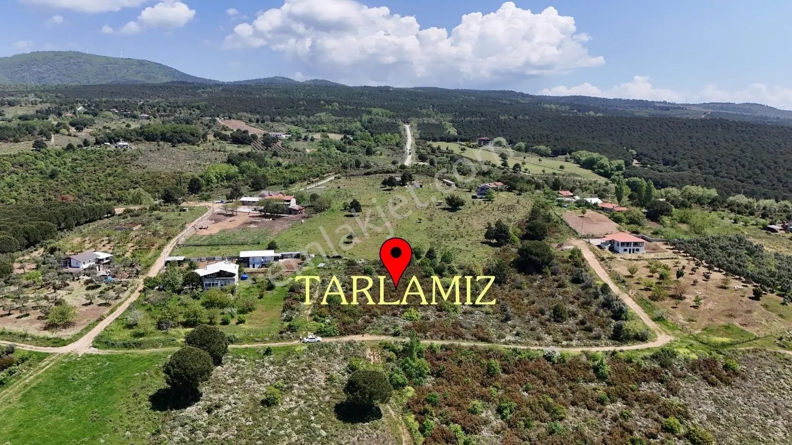 Ay Emlak'tan Yalova Armutlu Fıstıklıköyü Yayla Mevkii - Görsel 5
