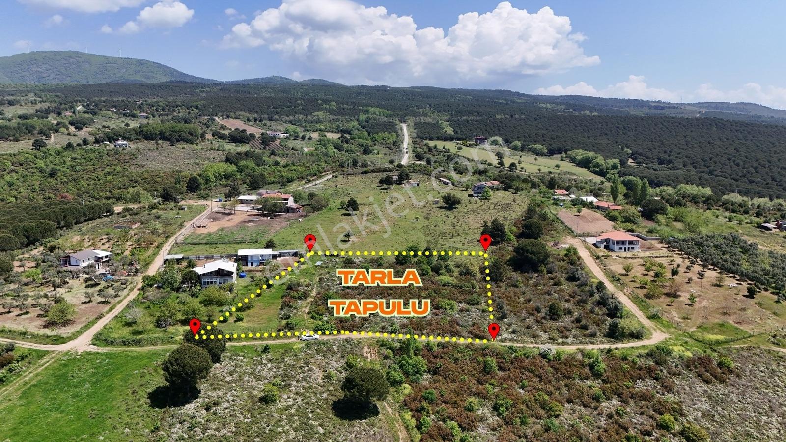 Ay Emlak'tan Yalova Armutlu Fıstıklıköyü Yayla Mevkii - Görsel 6