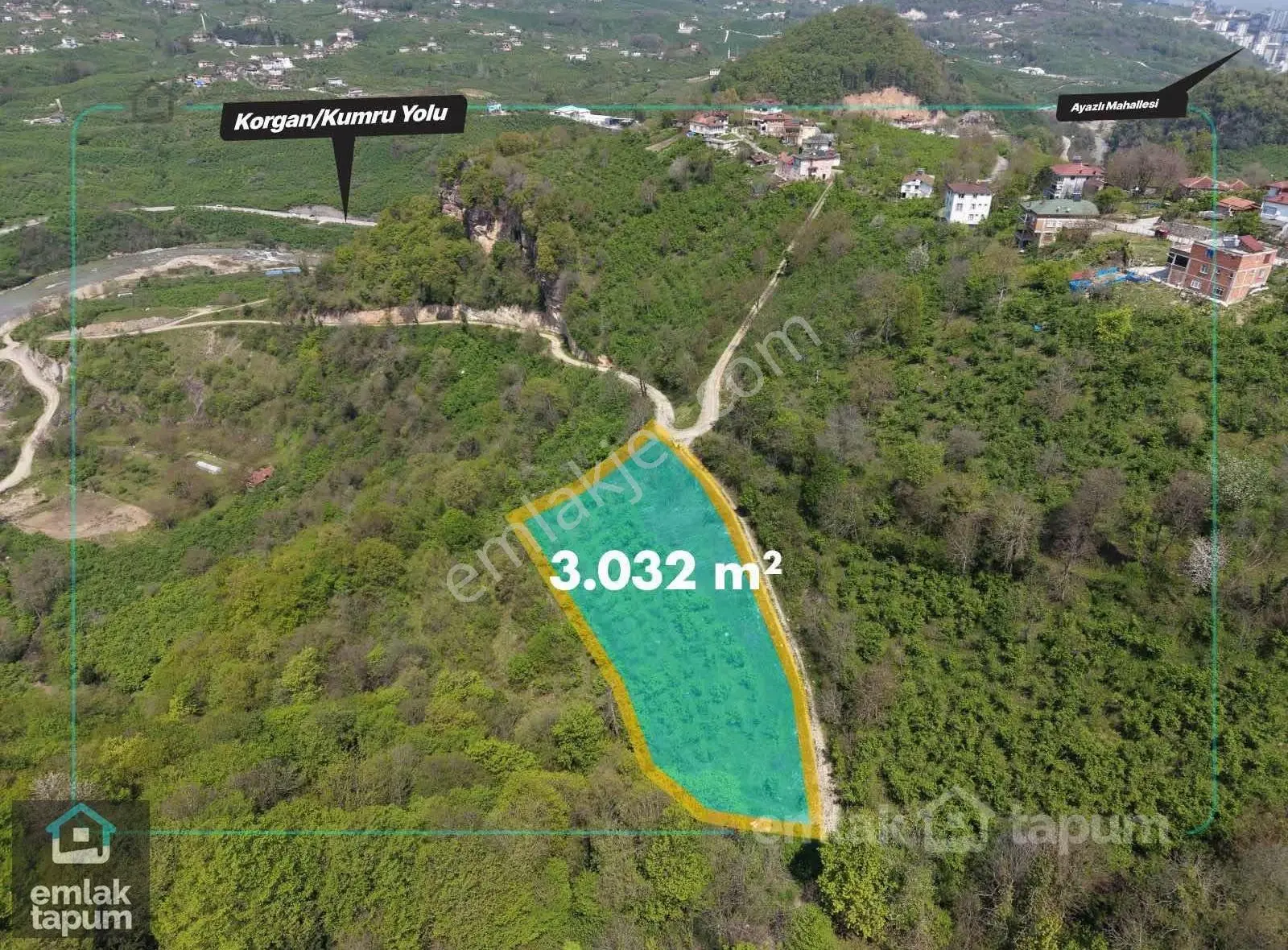 Fatsa Çömleklide 3.032 M² Fındık Bahçesi Satılık