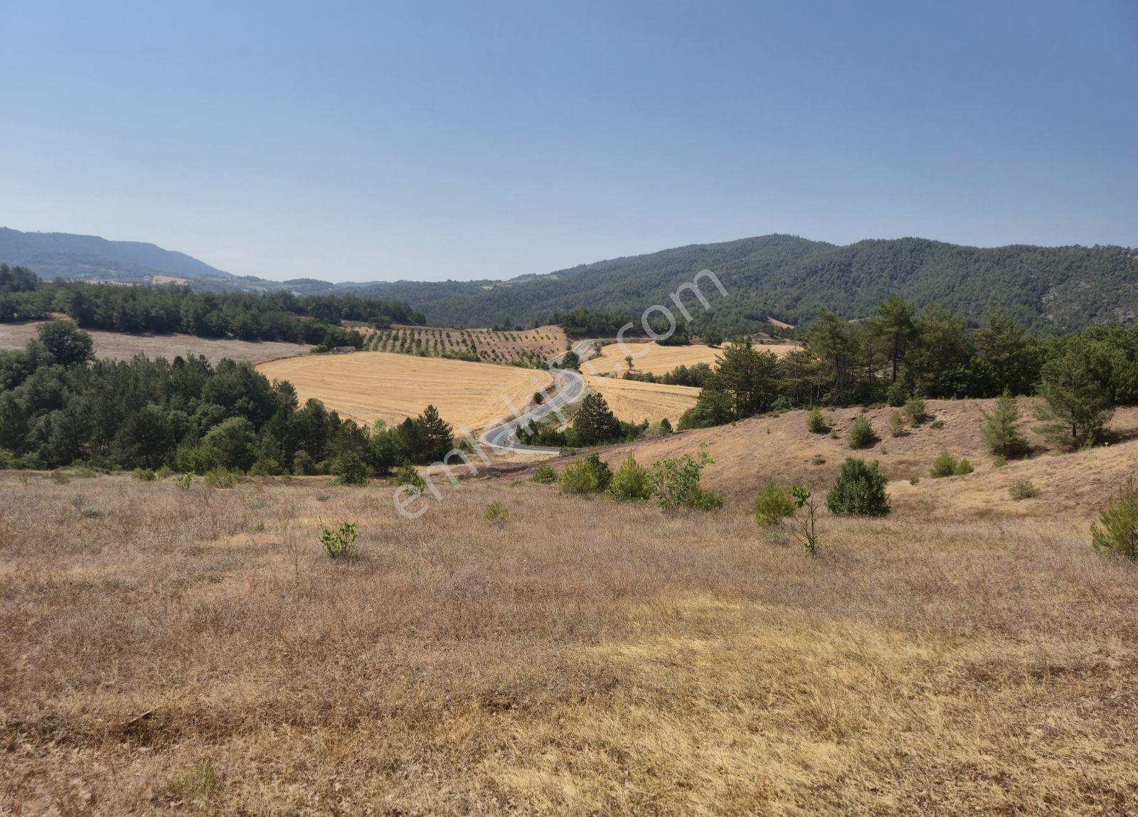Adaplatin'den Taraklı Hacıaliler'de 4424 M2 Gölet Yakını Tarla - Görsel 20