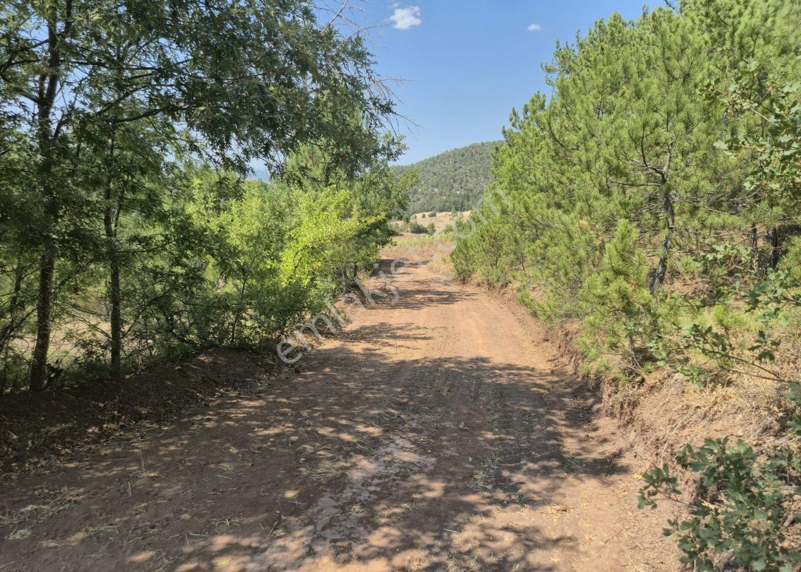 Adaplatin'den Taraklı Hacıaliler'de 4424 M2 Gölet Yakını Tarla - Görsel 5