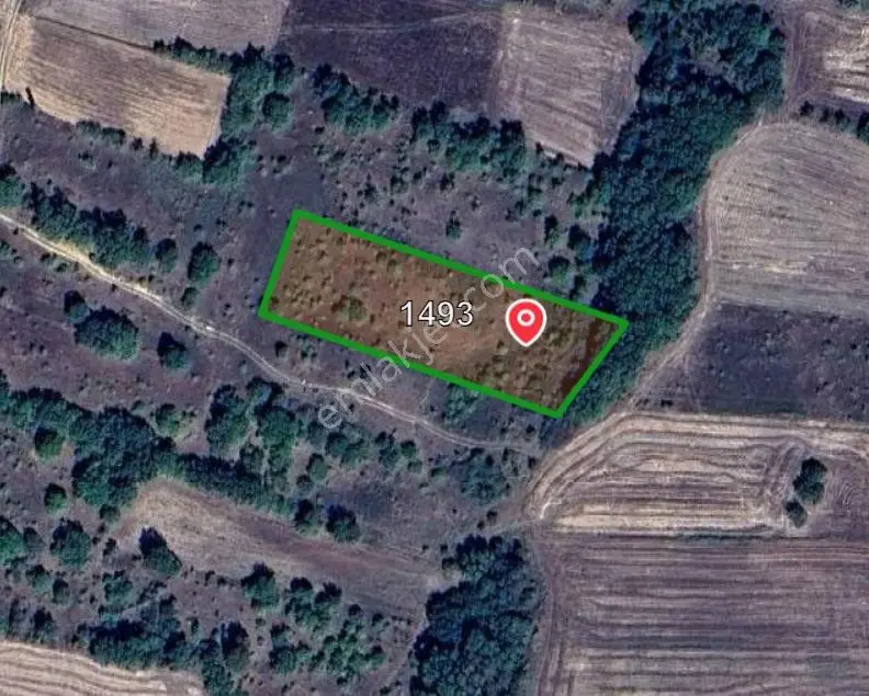 Edirne Uzunköprü Kırkkavak Köyünde 3900 M² Satılık Tarla - Görsel 4