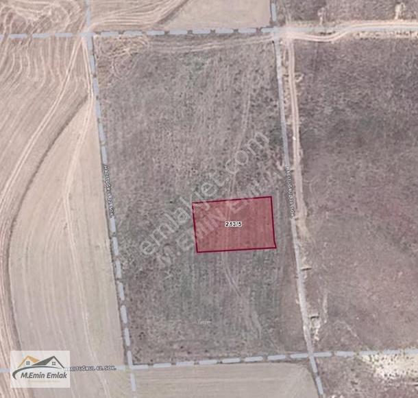 Polatlı - Hacıtuğrul 1000 M2 Tek Tapu İmarlı Arsa - Görsel 3