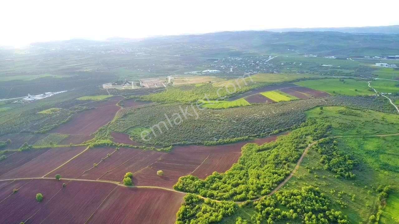 İdenova'dan Başköy'de Proje Alanı Komşusu 37.600 M² Yatırımlık Arazi - Görsel 16