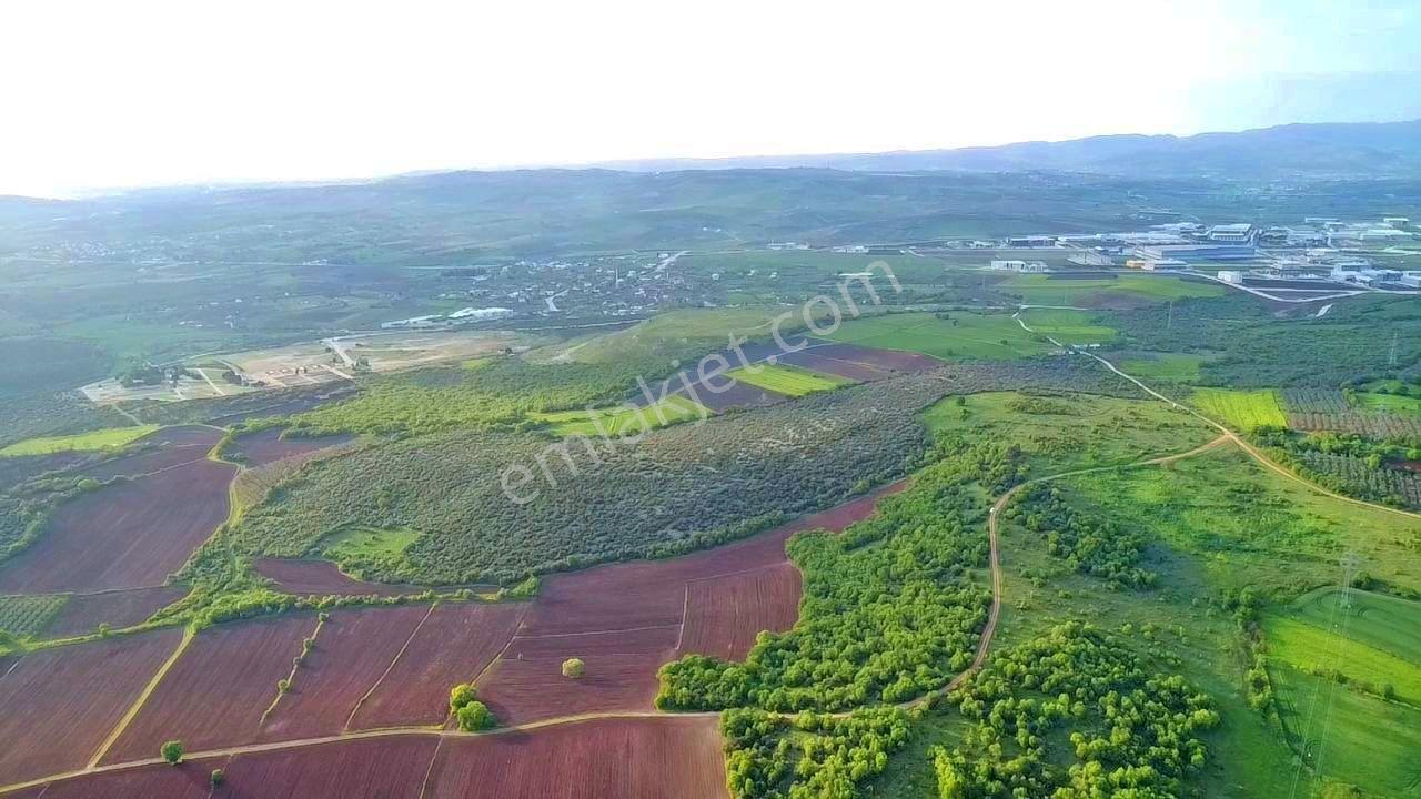 İdenova'dan Başköy'de Proje Alanı Komşusu 37.600 M² Yatırımlık Arazi - Görsel 7