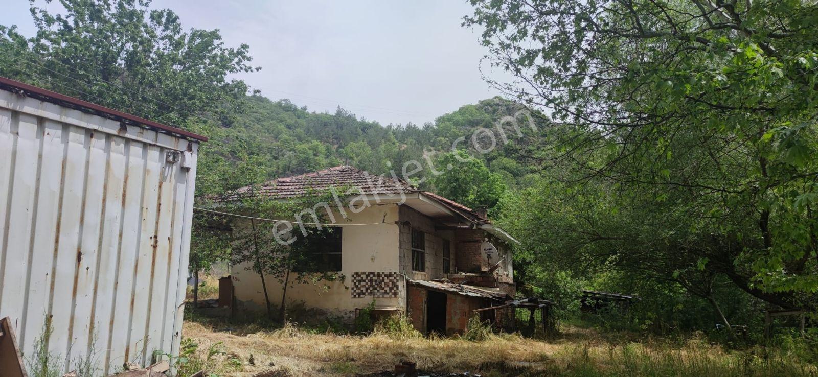 Özgün Gm'den - Satılık 3+1 Ev+dükkan+hayvan Damı+meyve Bahçesi - Görsel 15
