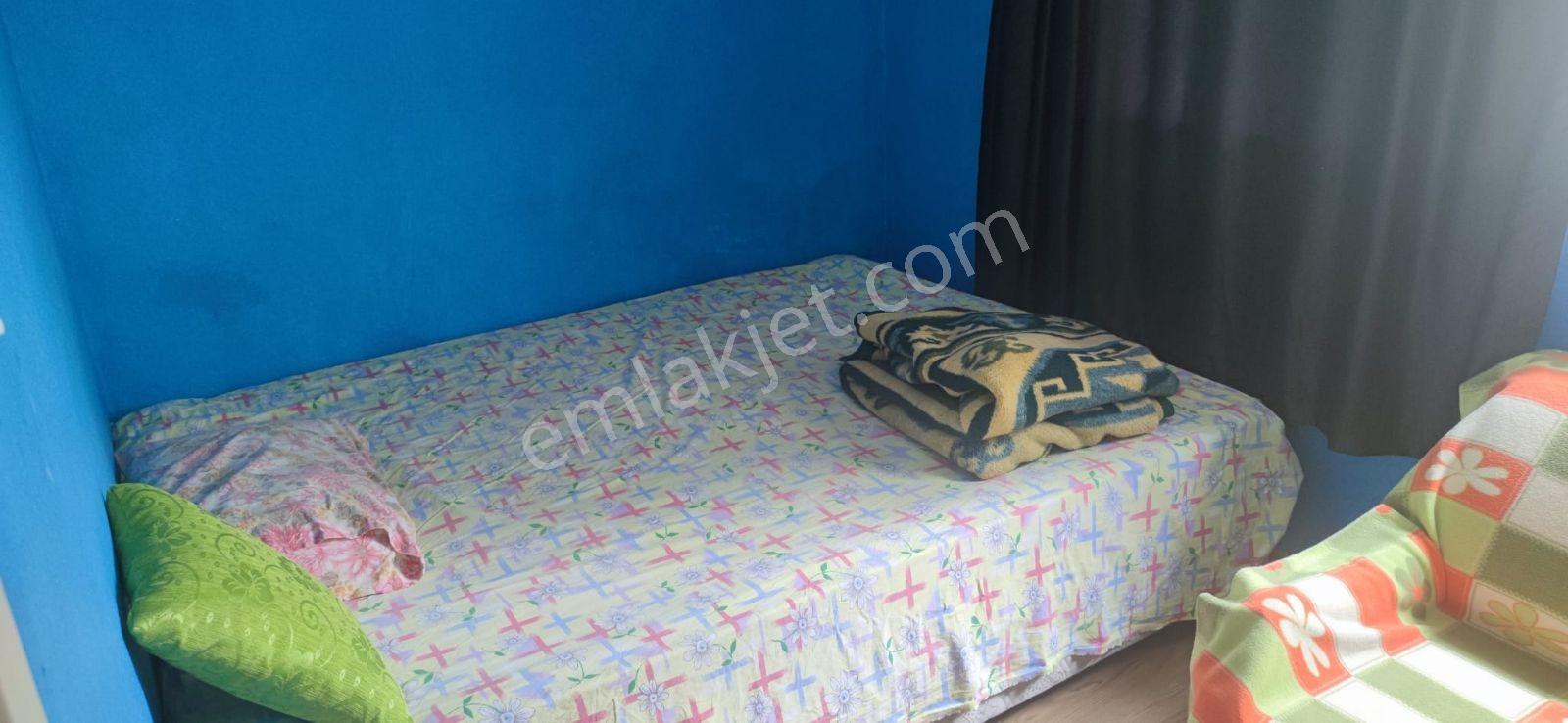 Özgün Gm'den - Satılık 3+1 Ev+dükkan+hayvan Damı+meyve Bahçesi - Görsel 14