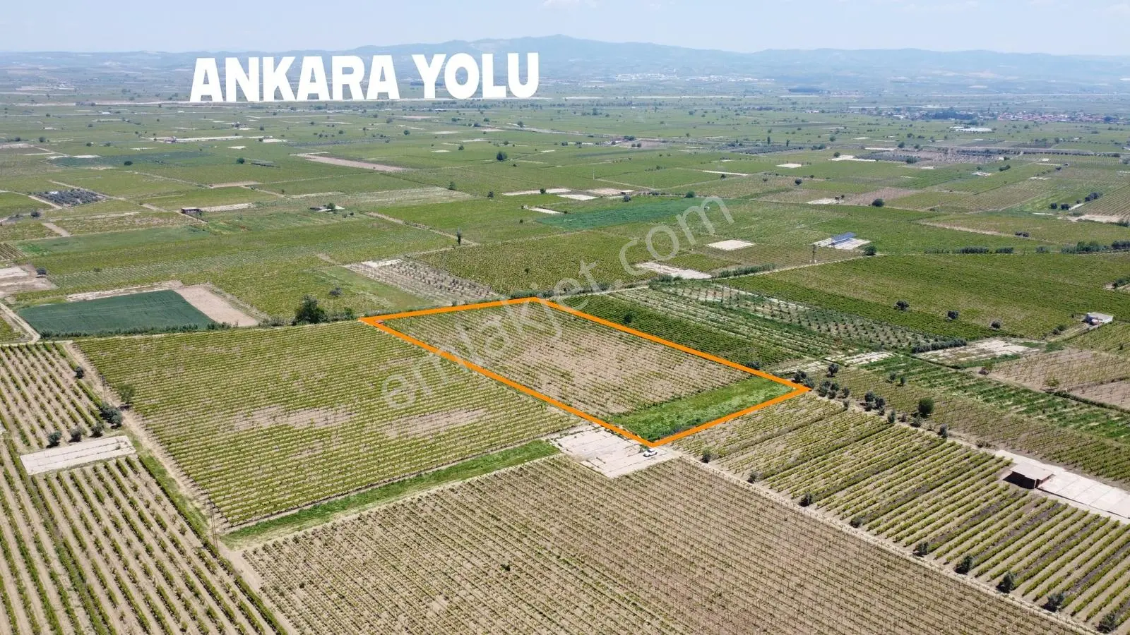 Özgün Gm'den Kabazlıda 12.420 M2 Direkli Bağ Damlama Sulamalı